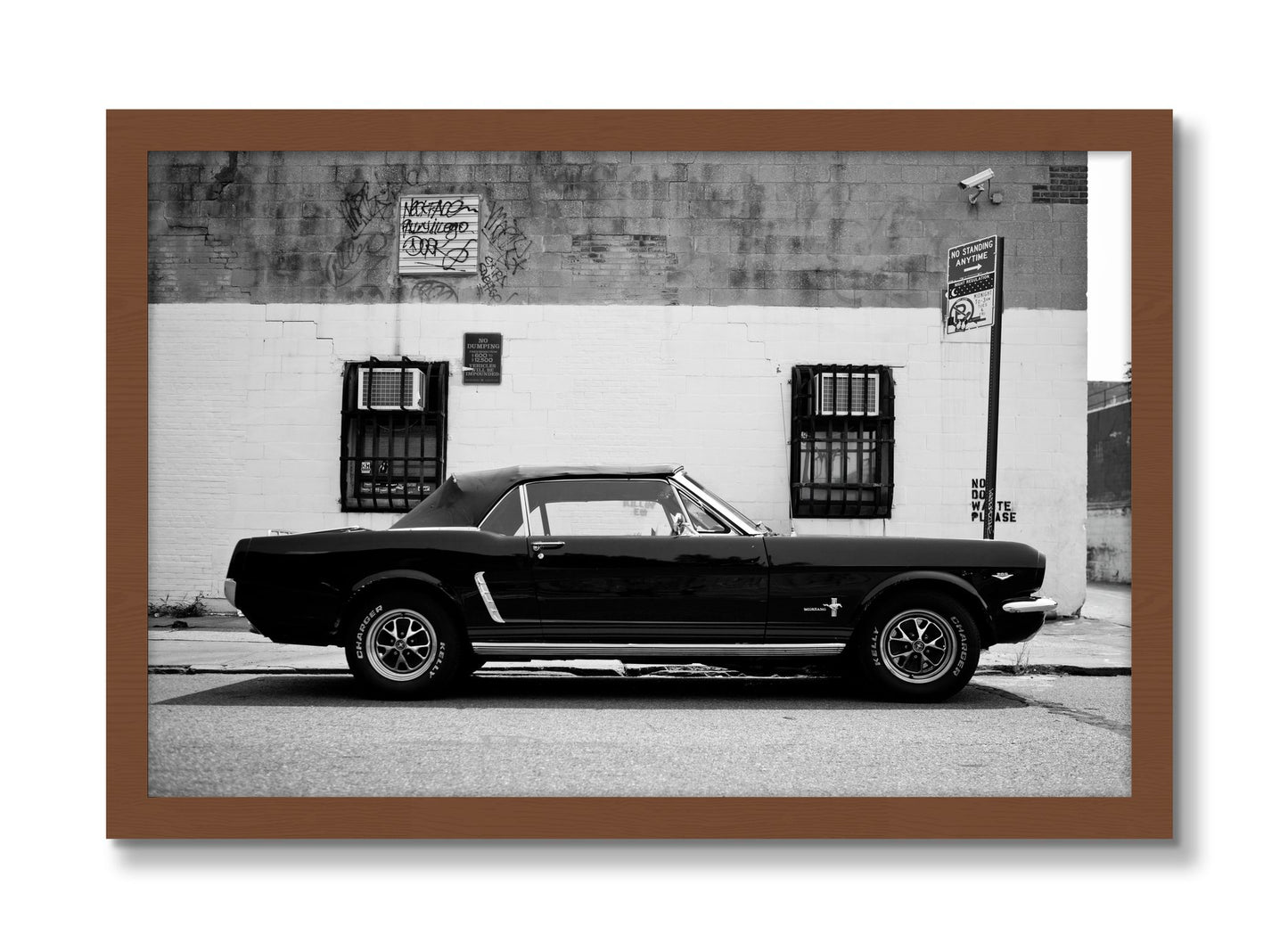 Framed photograph of Mustang by Dylan Ozanich, Walnut frame, Full Bleed