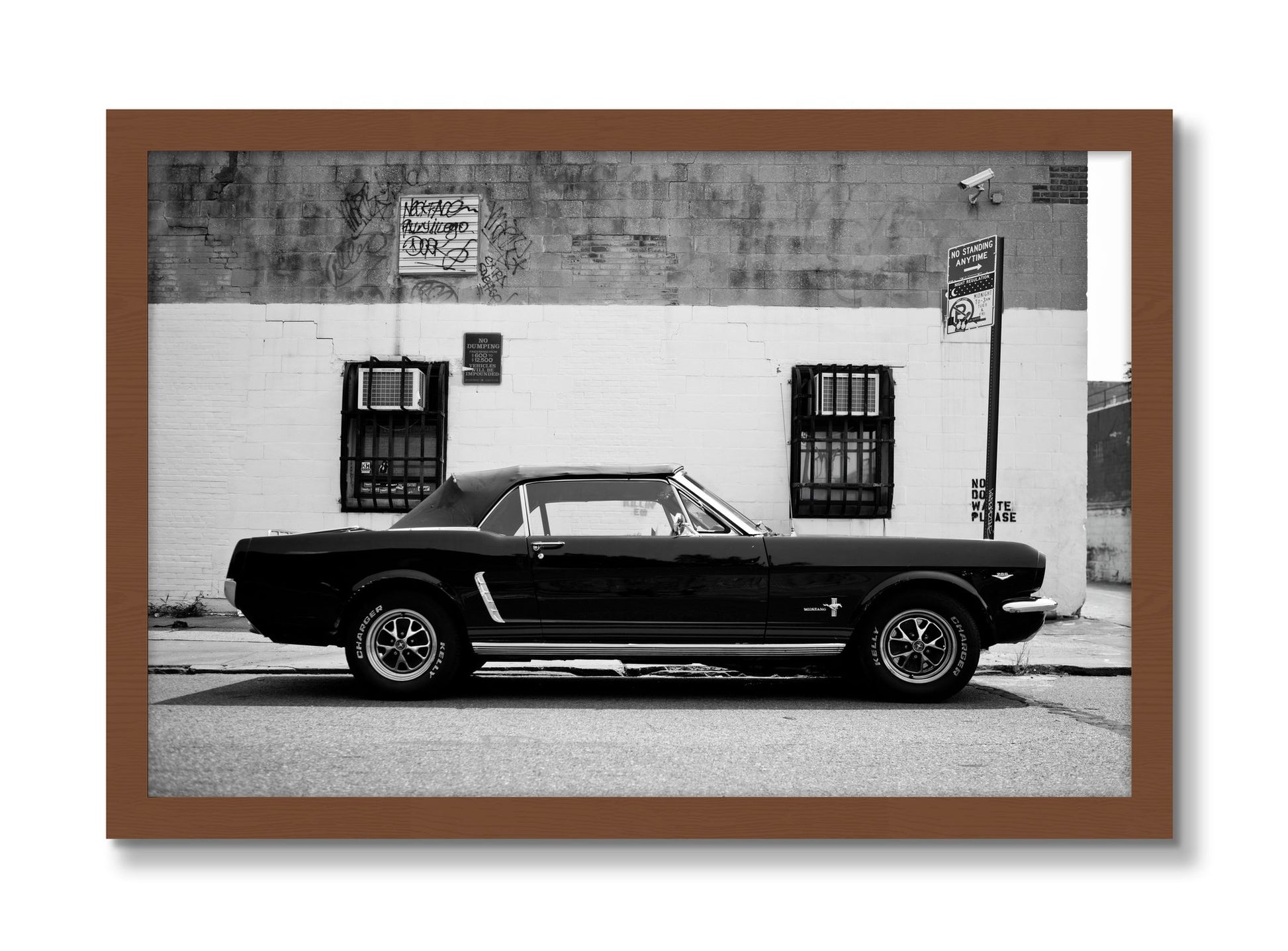 Framed photograph of Mustang by Dylan Ozanich, Walnut frame, Full Bleed