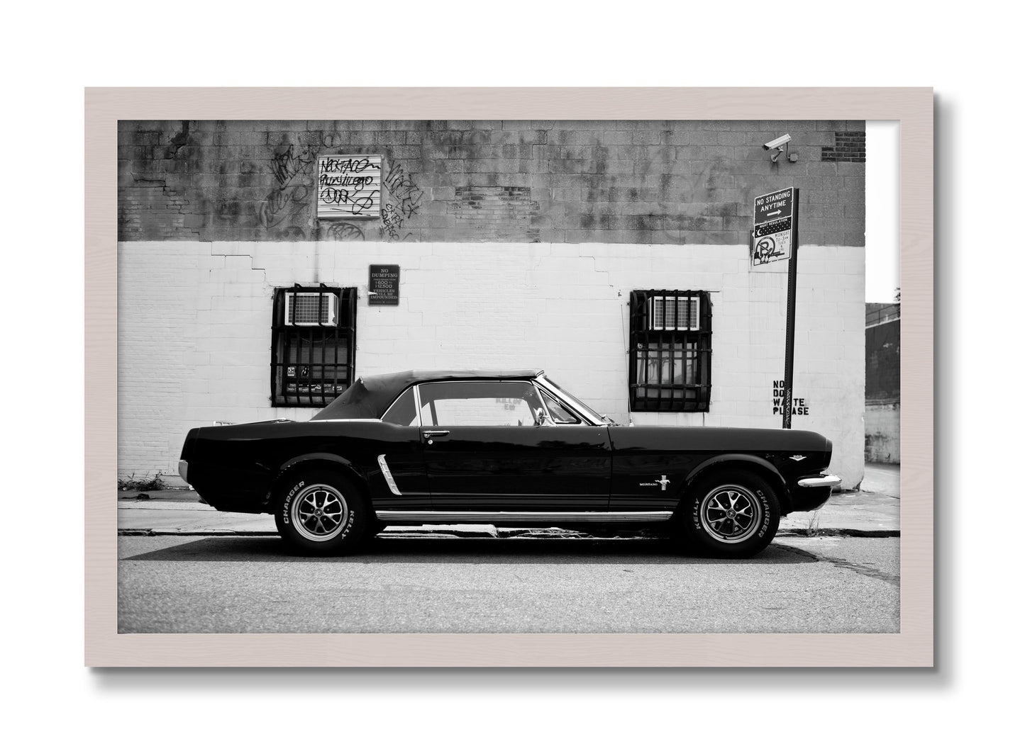 Framed photograph of Mustang by Dylan Ozanich, White Maple frame, Full Bleed