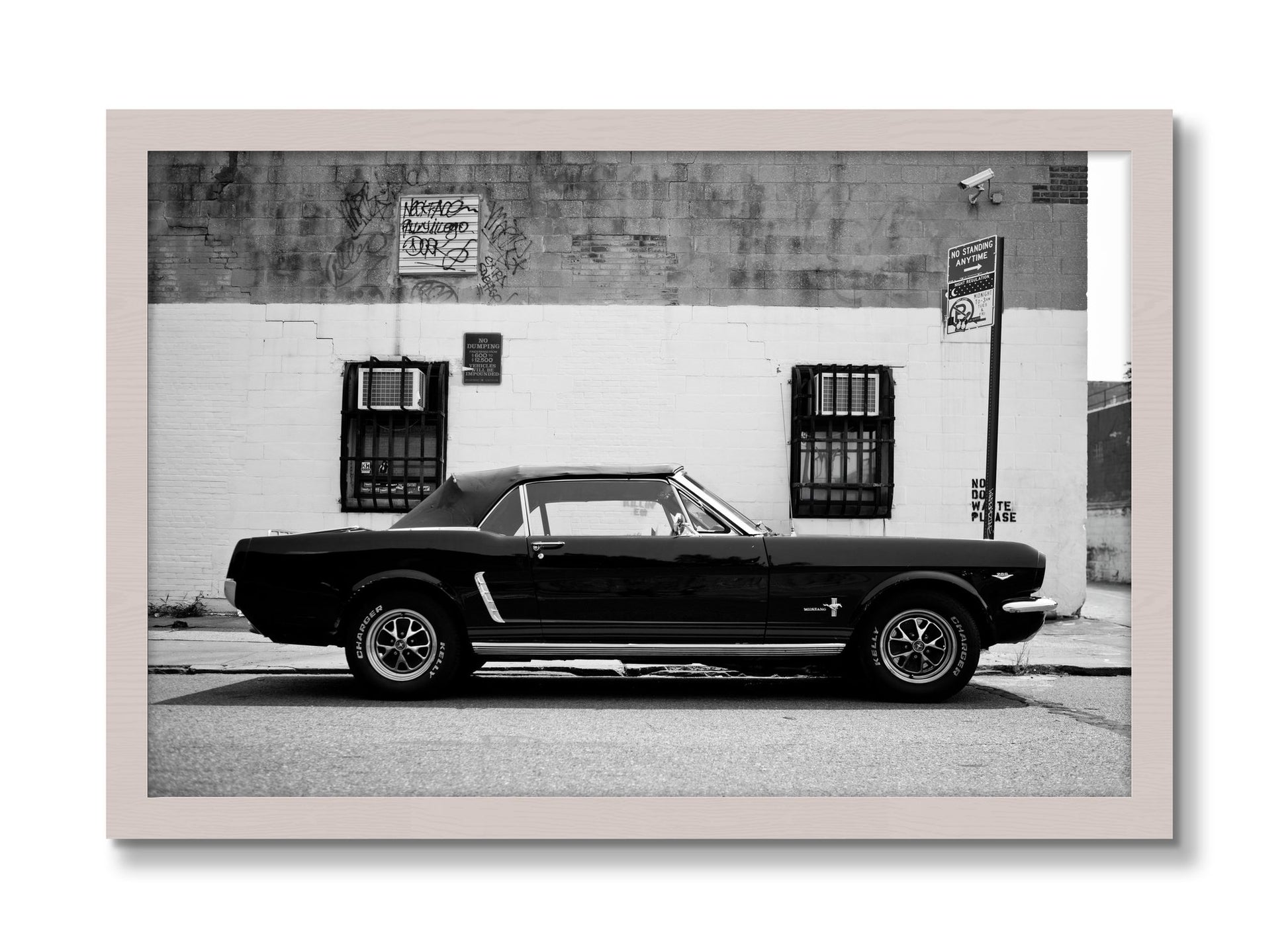 Framed photograph of Mustang by Dylan Ozanich, White Maple frame, Full Bleed