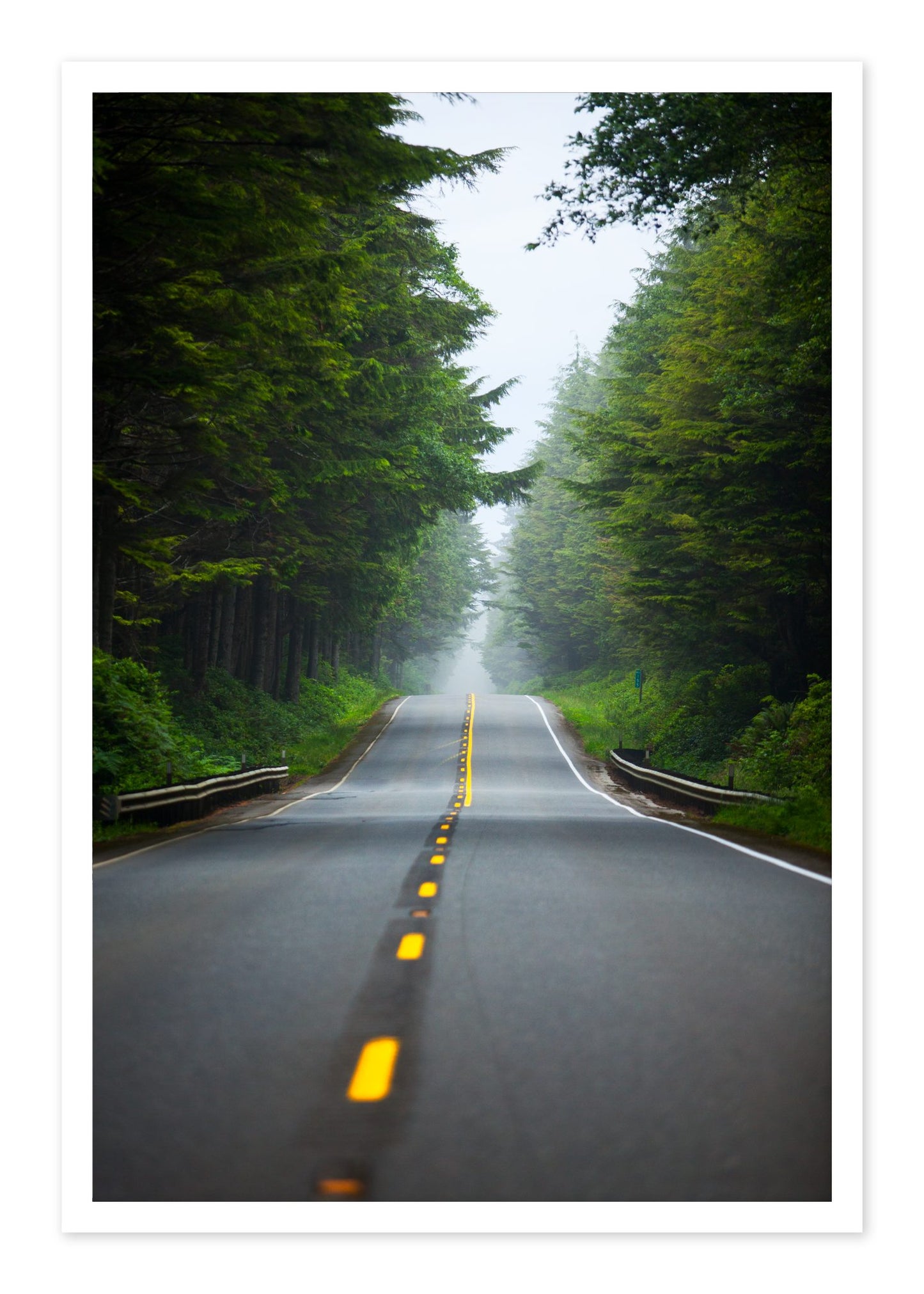 North West by Dylan Ozanich, 48×72 Fine Art Pigment Print on Hahnemühle Cotton Rag Paper, unframed