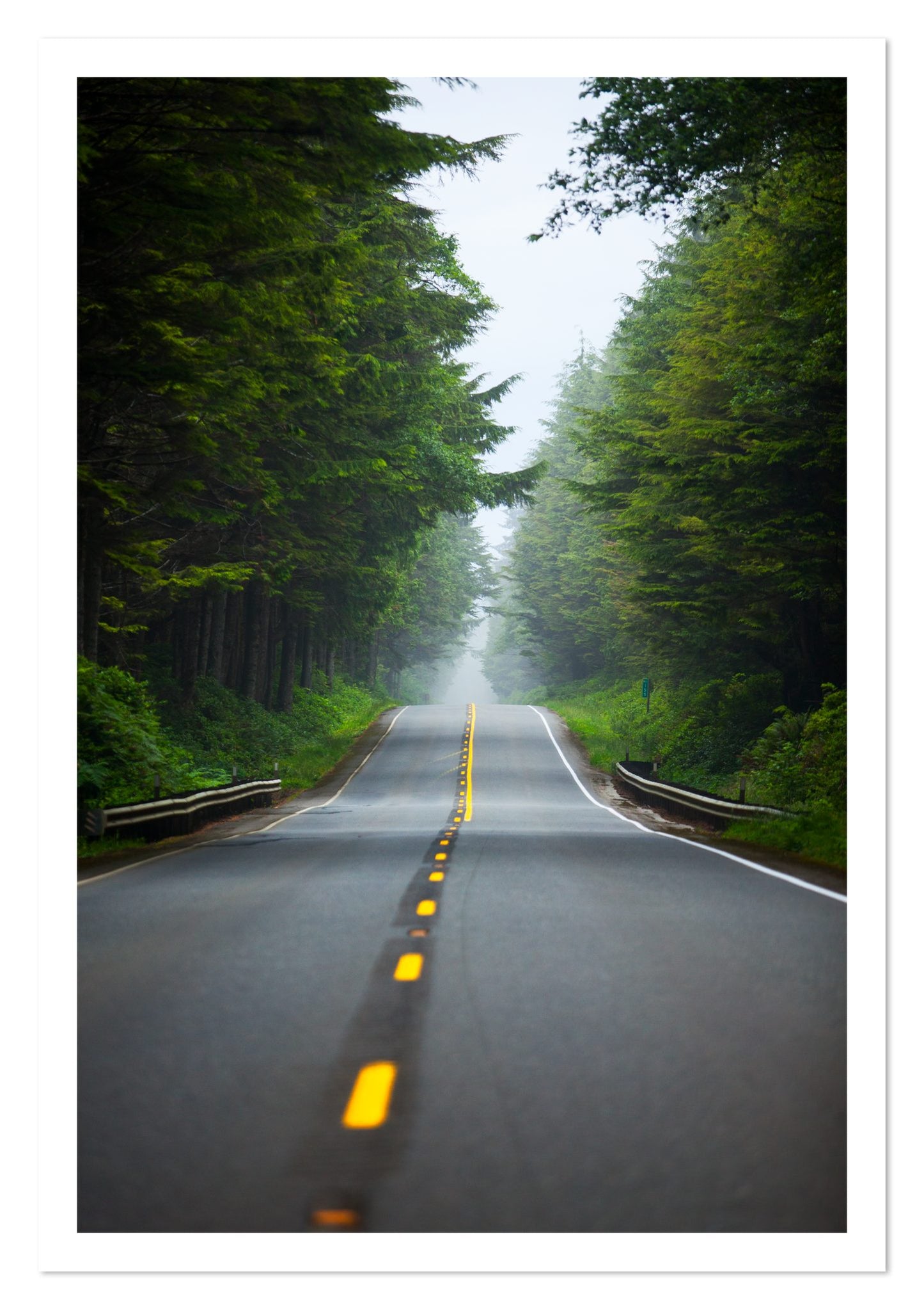 Fine art print of North West by Dylan Ozanich, unframed