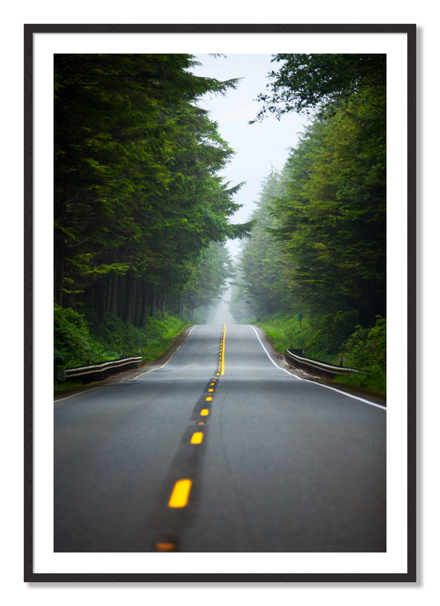 Framed photograph of North West by Dylan Ozanich, Black Walnut frame, Borders