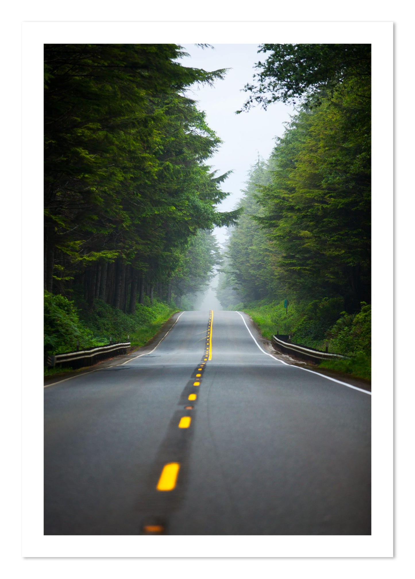 Fine art print of North West by Dylan Ozanich, unframed