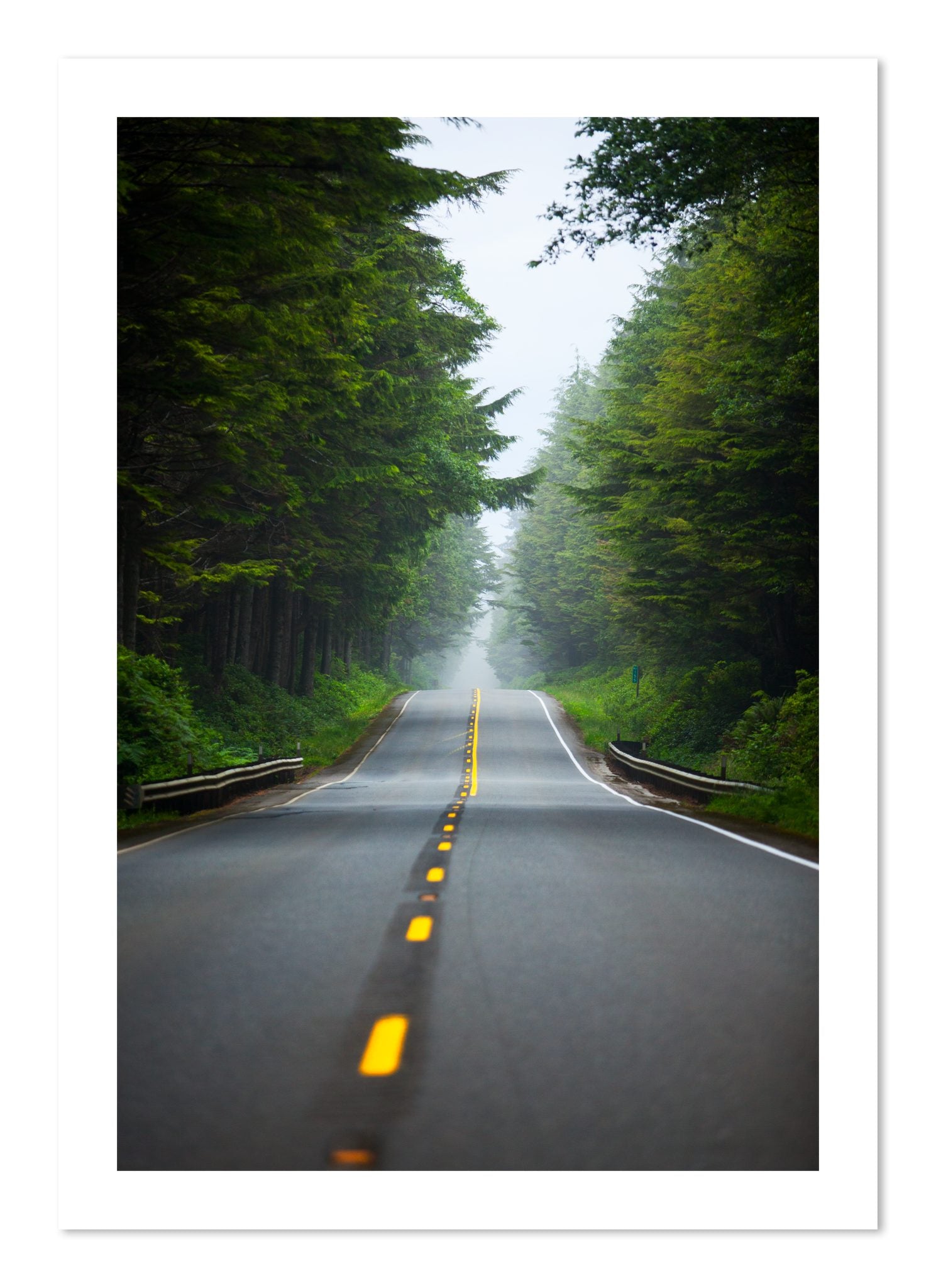 Fine art print of North West by Dylan Ozanich, unframed