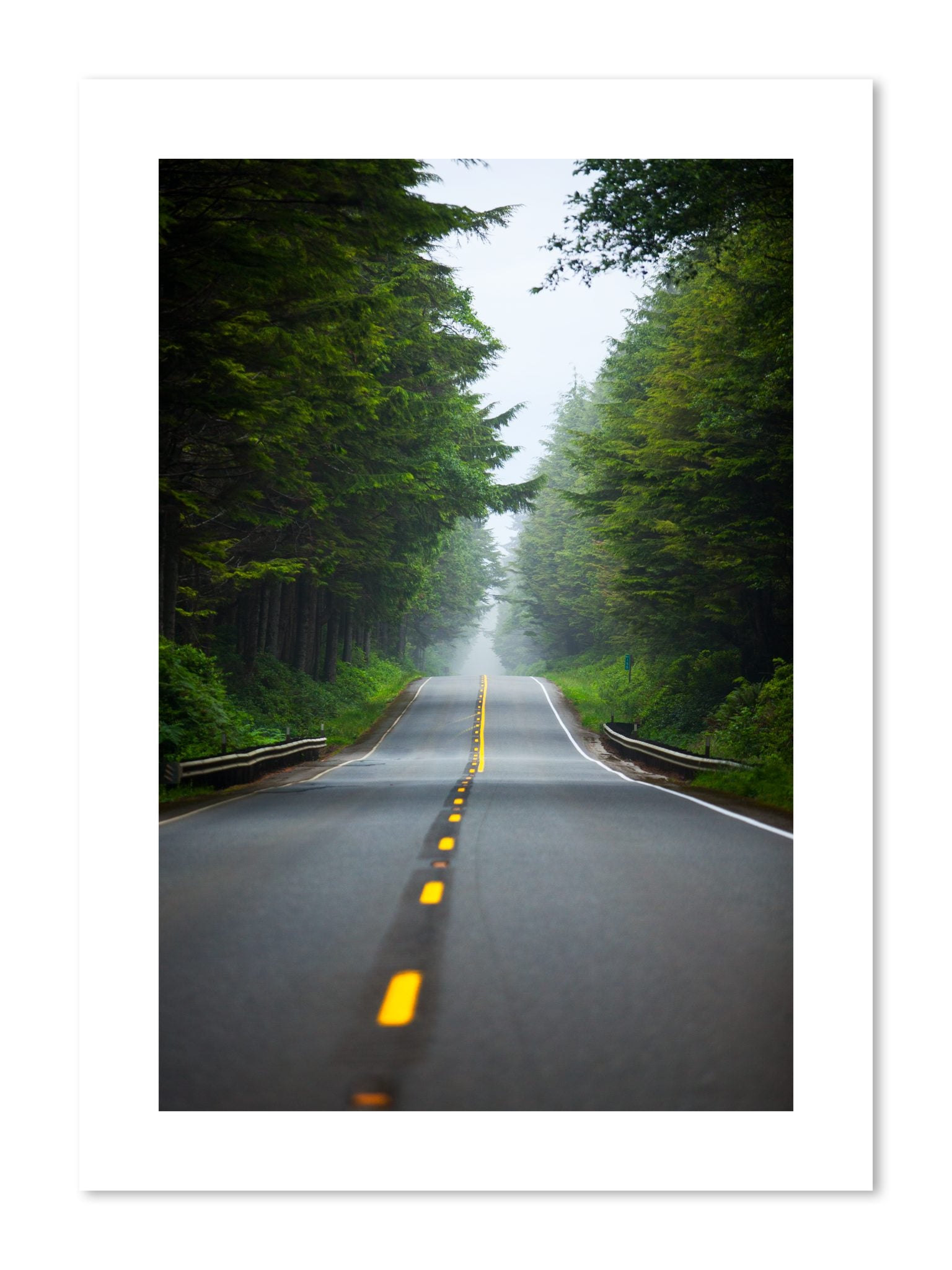 Fine art print of North West by Dylan Ozanich, unframed