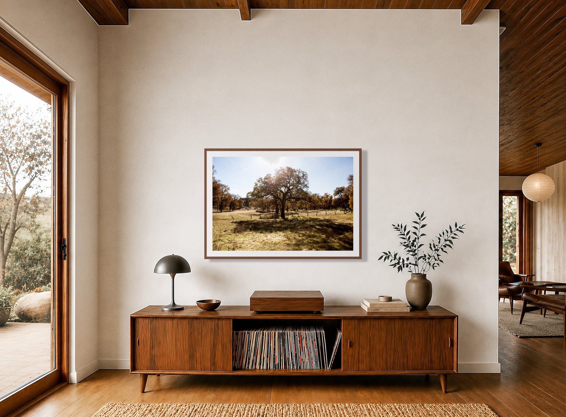 Framed photograph of Old Oak by Dylan Ozanich displayed on a wall