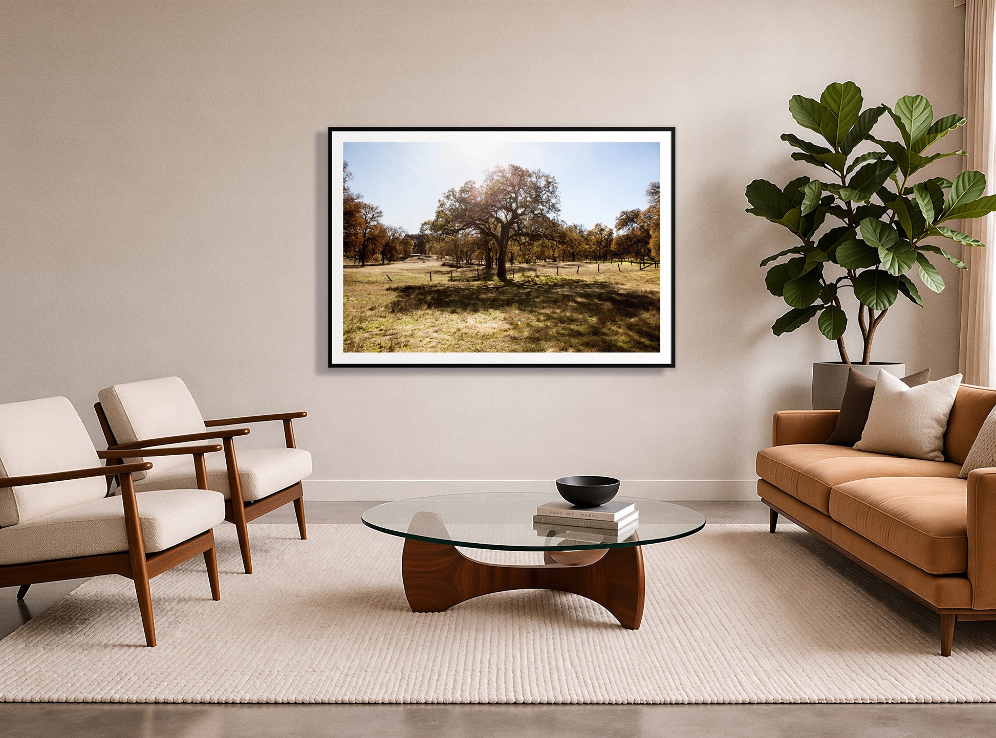 Old Oak by Dylan Ozanich in a Black frame, in a midcentury living room with a tan leather sofa and fiddle-leaf fig