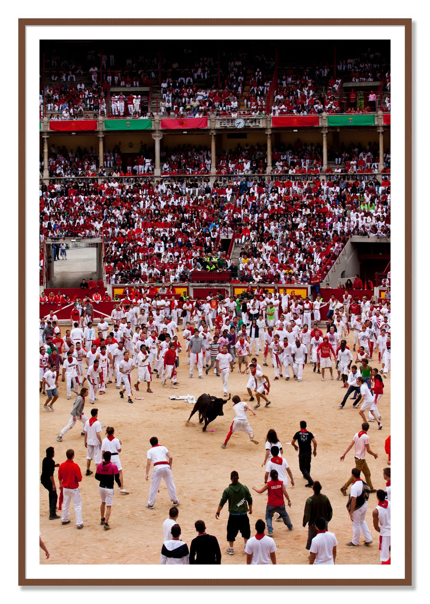 Panploma by Dylan Ozanich, 48×72 print with a White Border in a Walnut frame