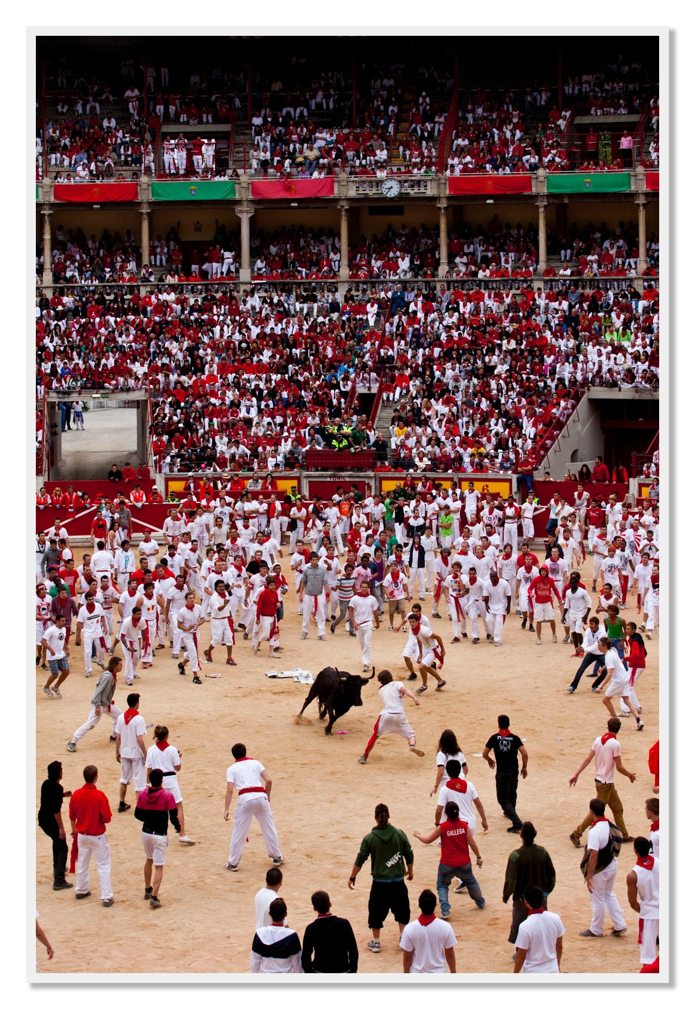 Panploma by Dylan Ozanich, 48×72 Full Bleed Print in a White frame