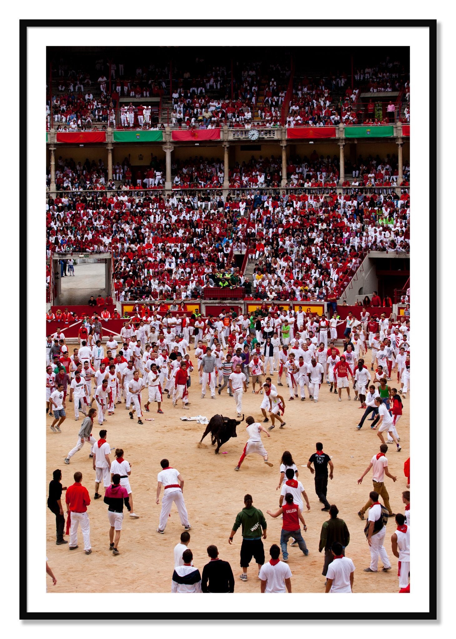 Framed photograph of Panploma by Dylan Ozanich, Black frame, Borders