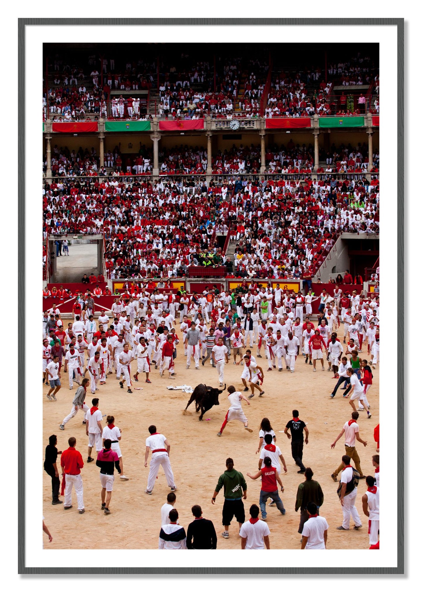 Framed photograph of Panploma by Dylan Ozanich, Grey frame, Borders