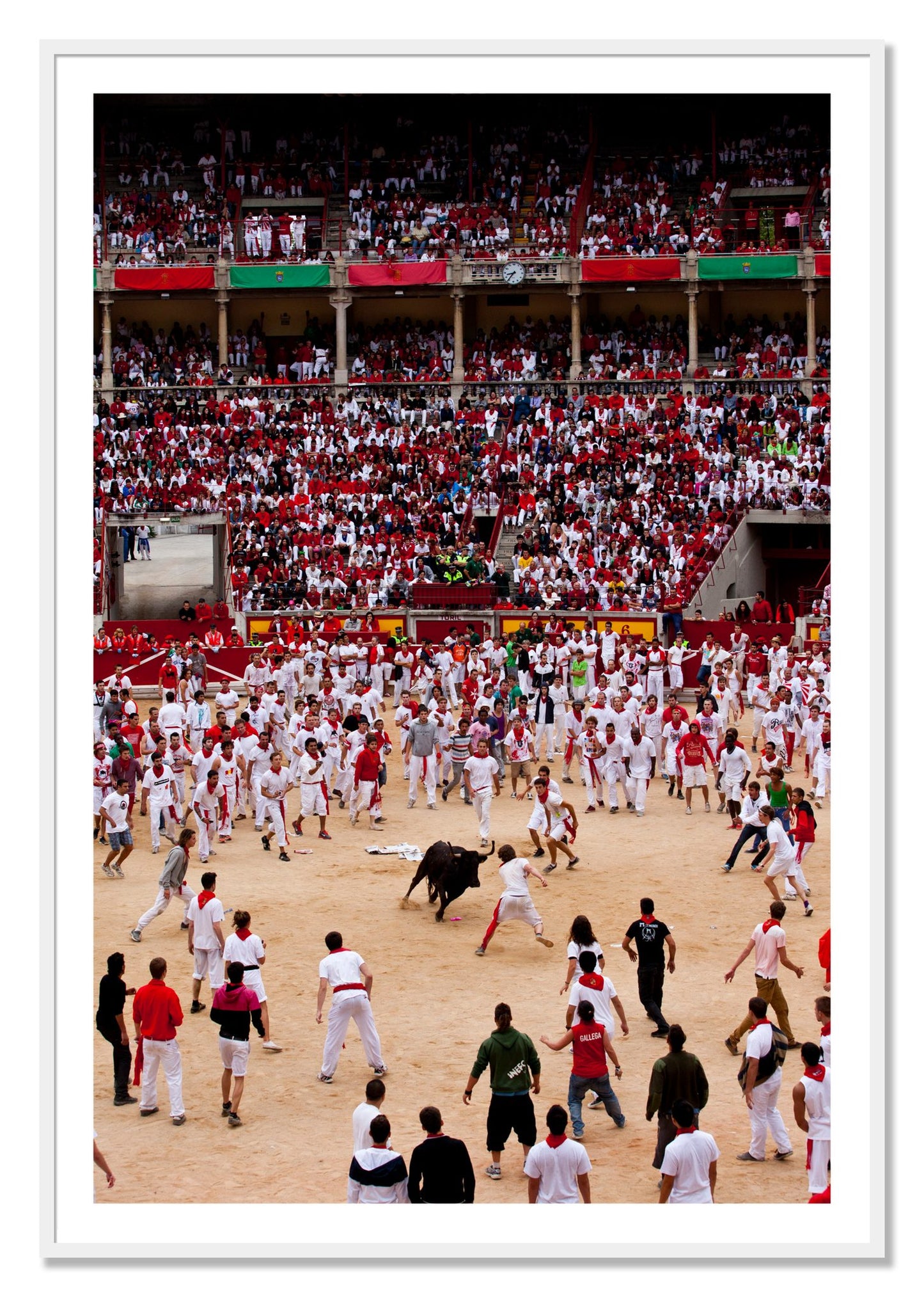 Framed photograph of Panploma by Dylan Ozanich, White frame, Borders