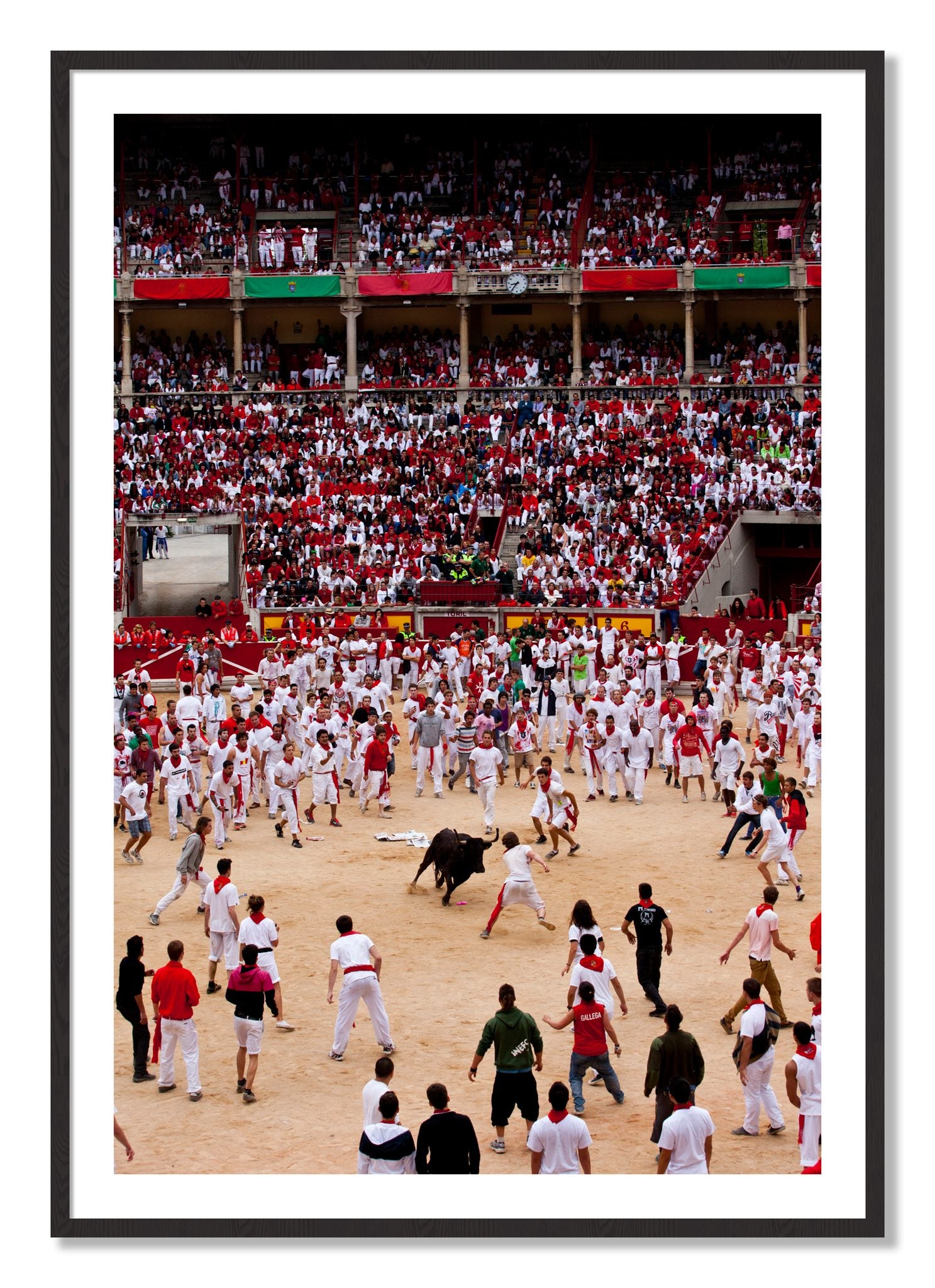 Framed photograph of Panploma by Dylan Ozanich, Black Walnut frame, Borders