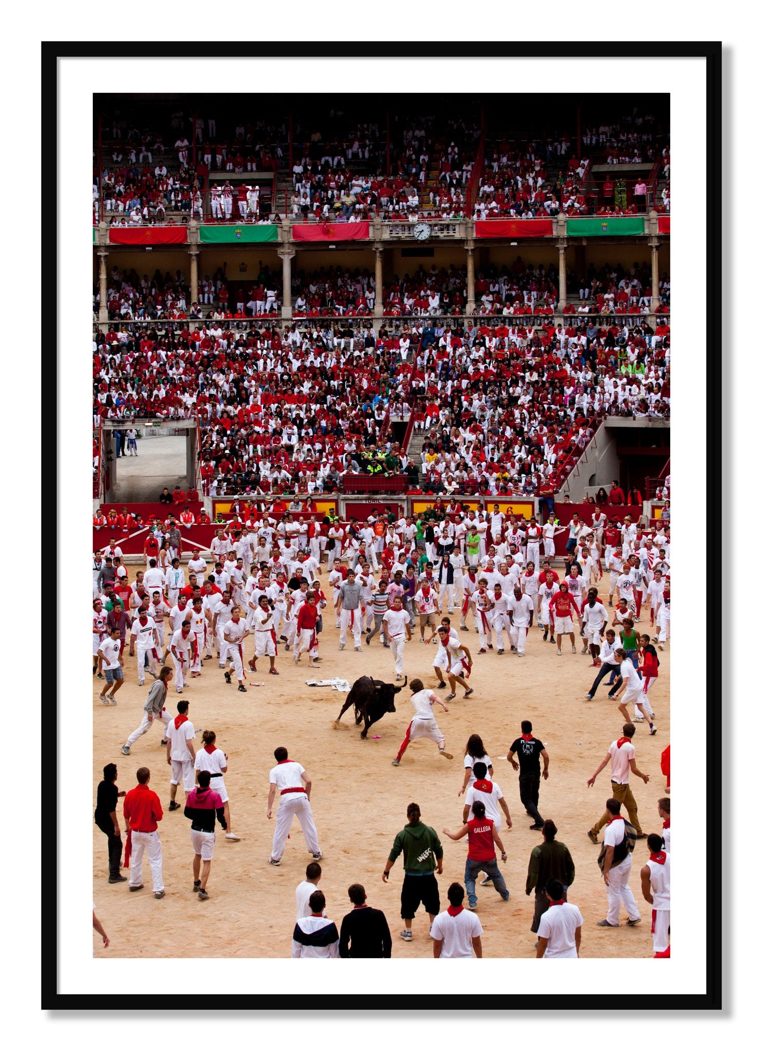 Framed photograph of Panploma by Dylan Ozanich, Black frame, Borders