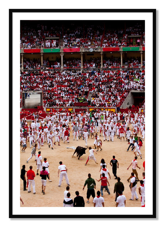 Framed photograph of Panploma by Dylan Ozanich, Black frame, Borders