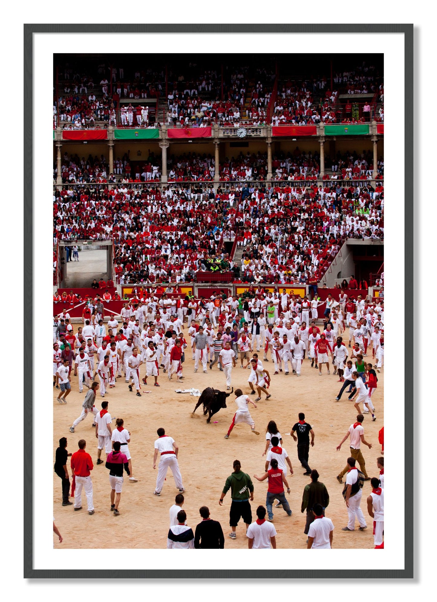 Framed photograph of Panploma by Dylan Ozanich, Grey frame, Borders