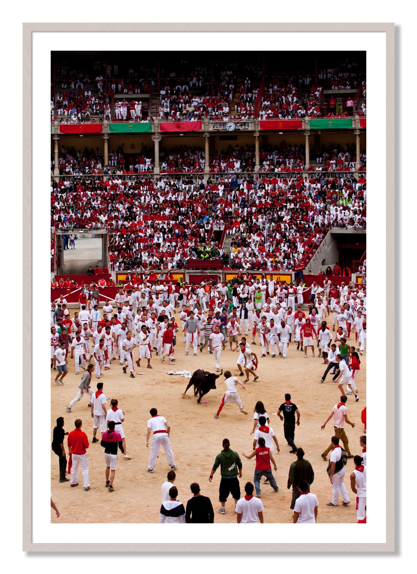Framed photograph of Panploma by Dylan Ozanich, White Maple frame, Borders