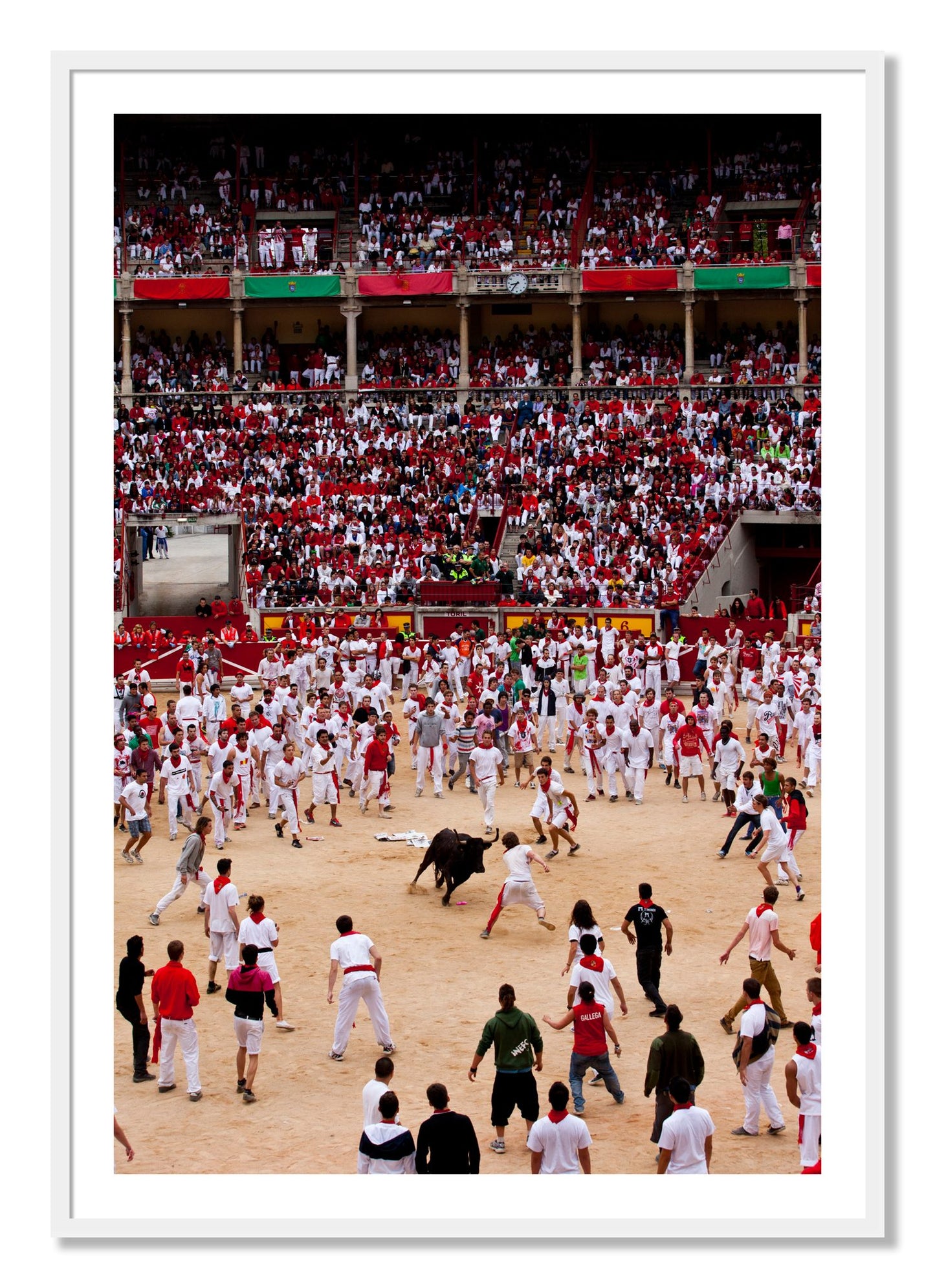 Framed photograph of Panploma by Dylan Ozanich, White frame, Borders