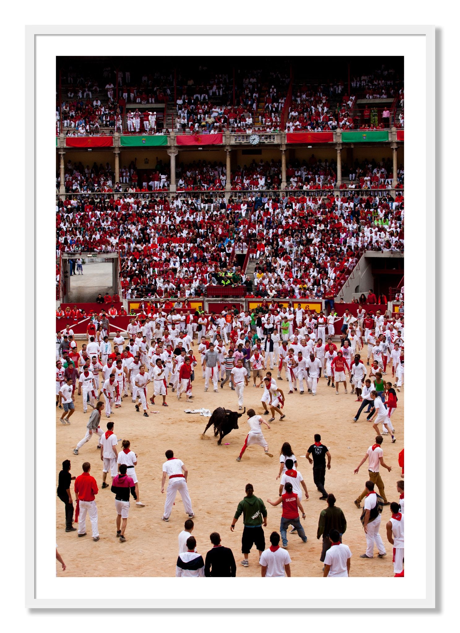 Framed photograph of Panploma by Dylan Ozanich, White frame, Borders