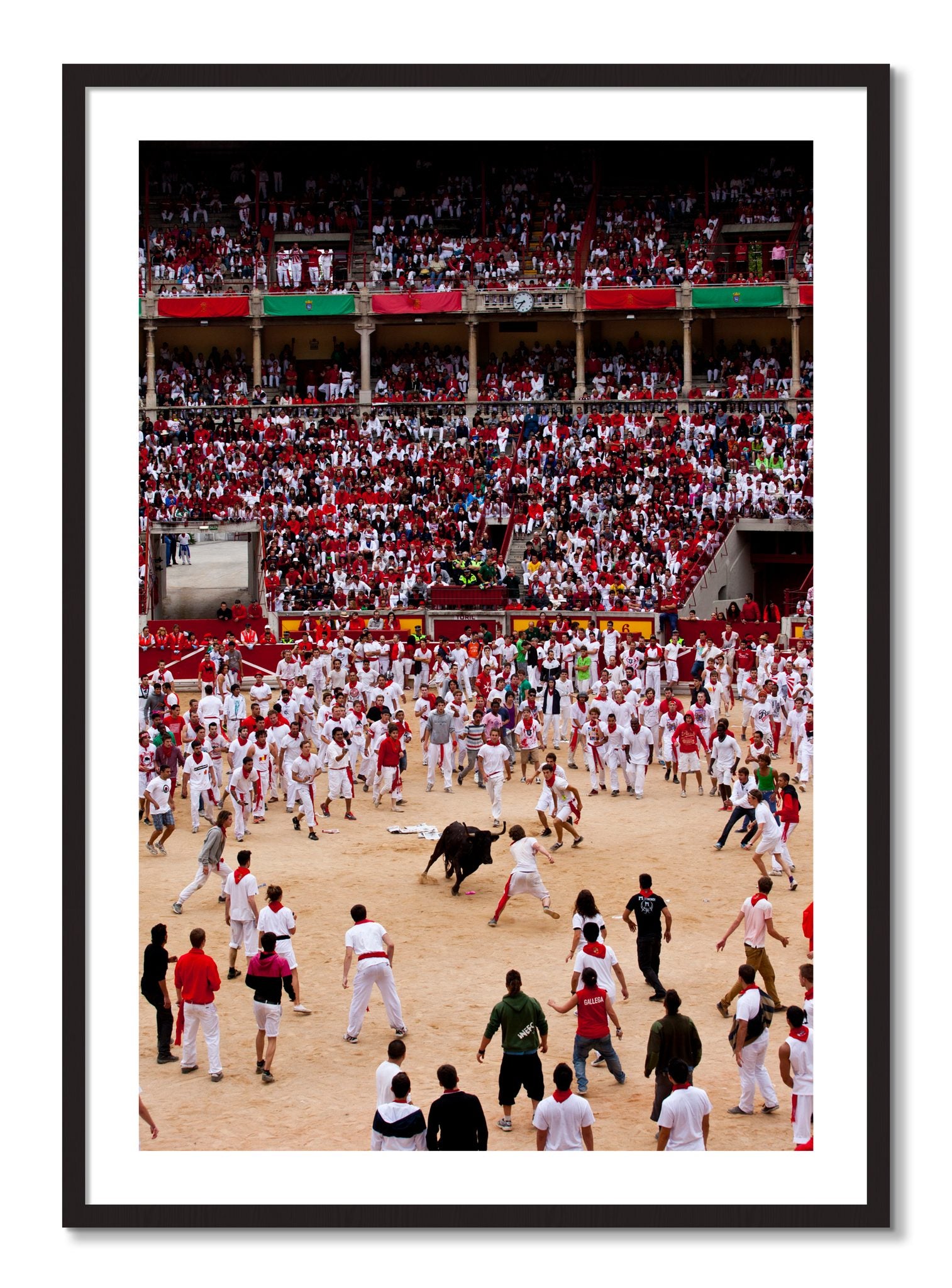 Framed photograph of Panploma by Dylan Ozanich, Black Walnut frame, Borders