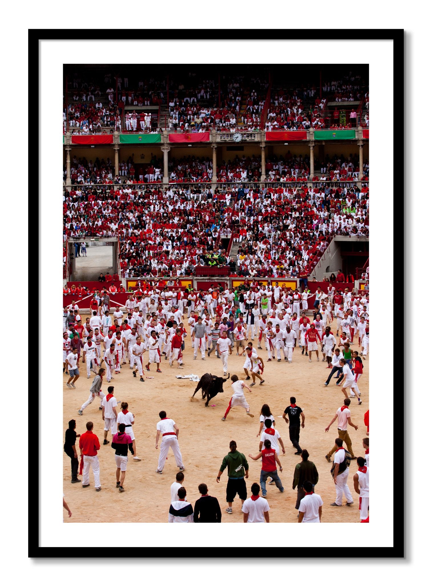 Framed photograph of Panploma by Dylan Ozanich, Black frame, Borders
