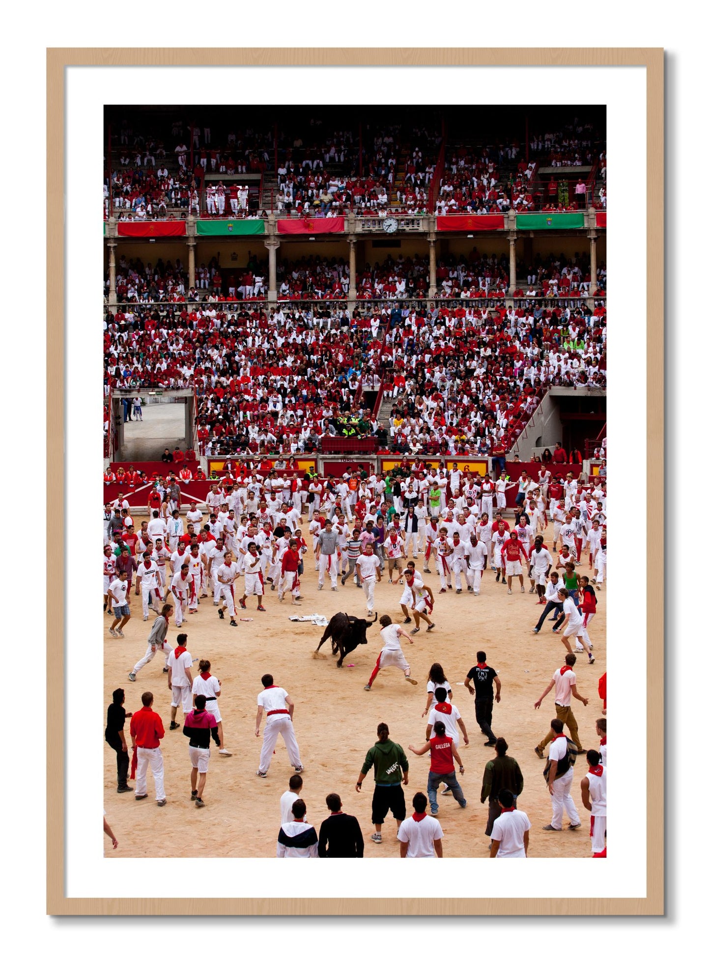 Framed photograph of Panploma by Dylan Ozanich, Oak frame, Borders