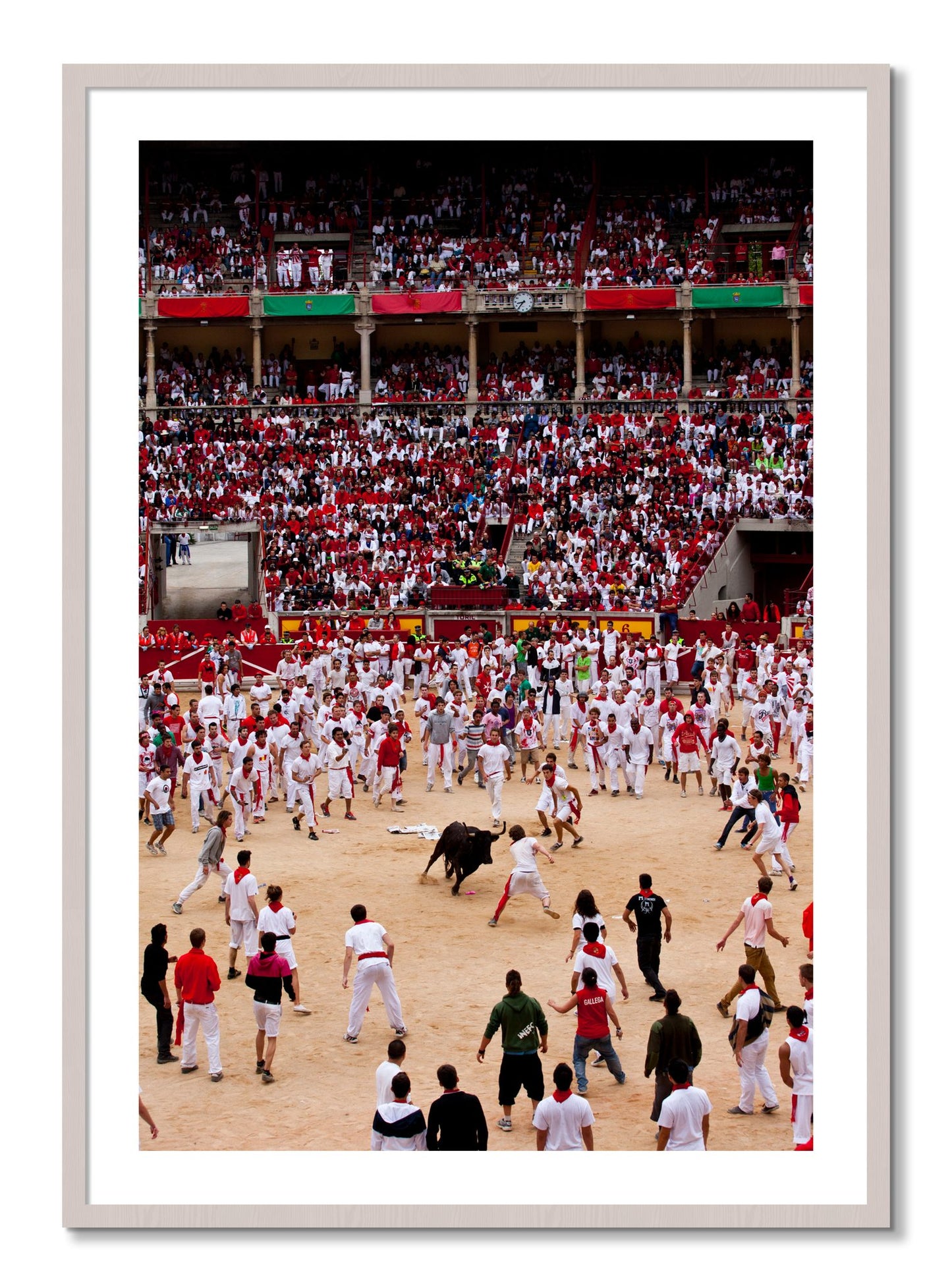 Framed photograph of Panploma by Dylan Ozanich, White Maple frame, Borders