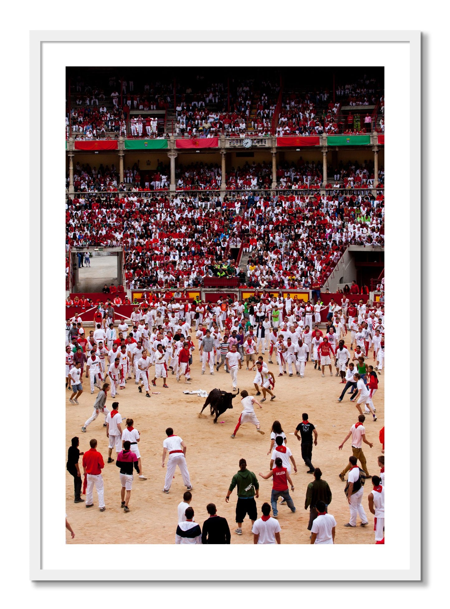 Framed photograph of Panploma by Dylan Ozanich, White frame, Borders