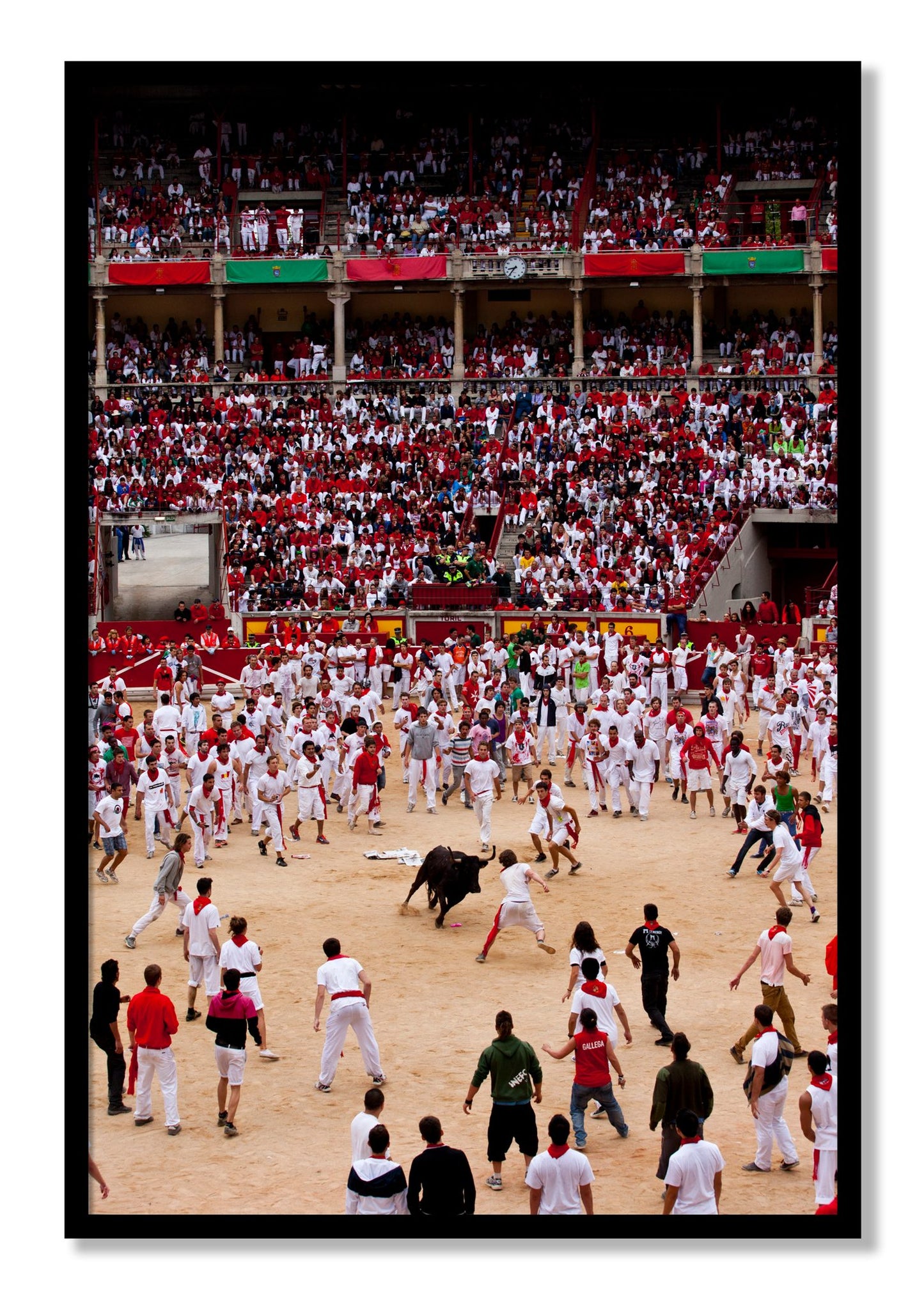 Framed photograph of Panploma by Dylan Ozanich, Black frame, Full Bleed
