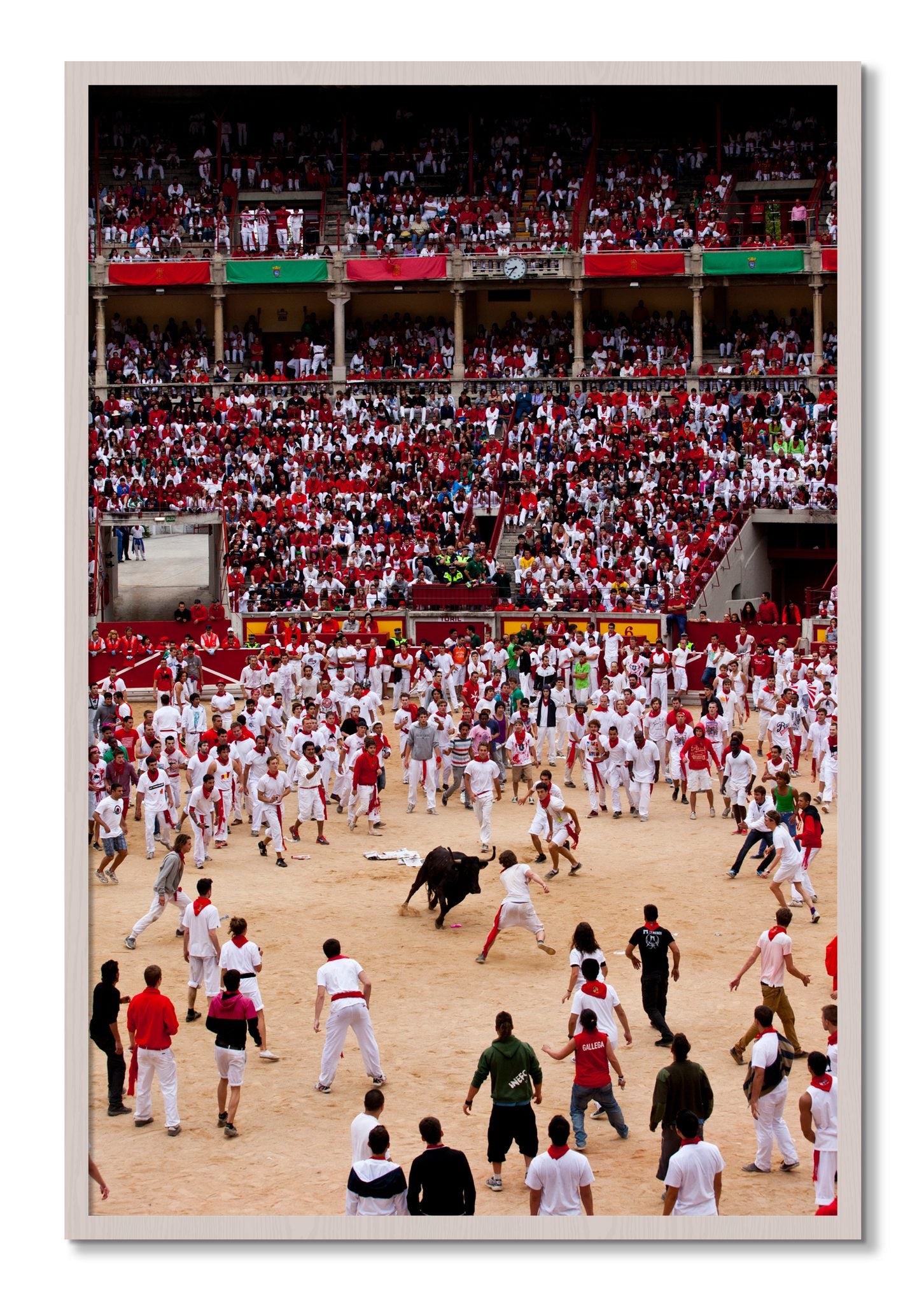 Framed photograph of Panploma by Dylan Ozanich, White Maple frame, Full Bleed