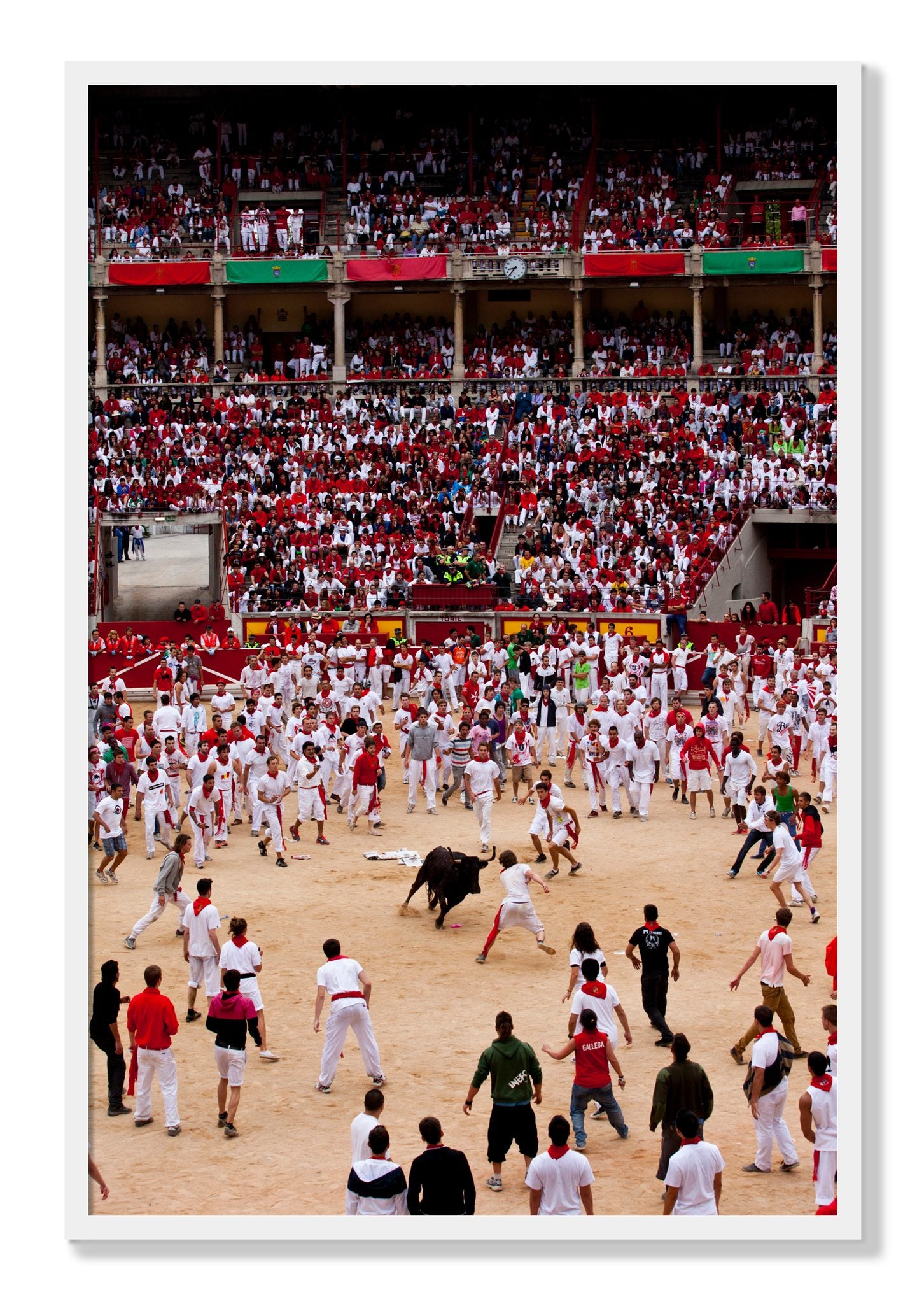 Framed photograph of Panploma by Dylan Ozanich, White frame, Full Bleed