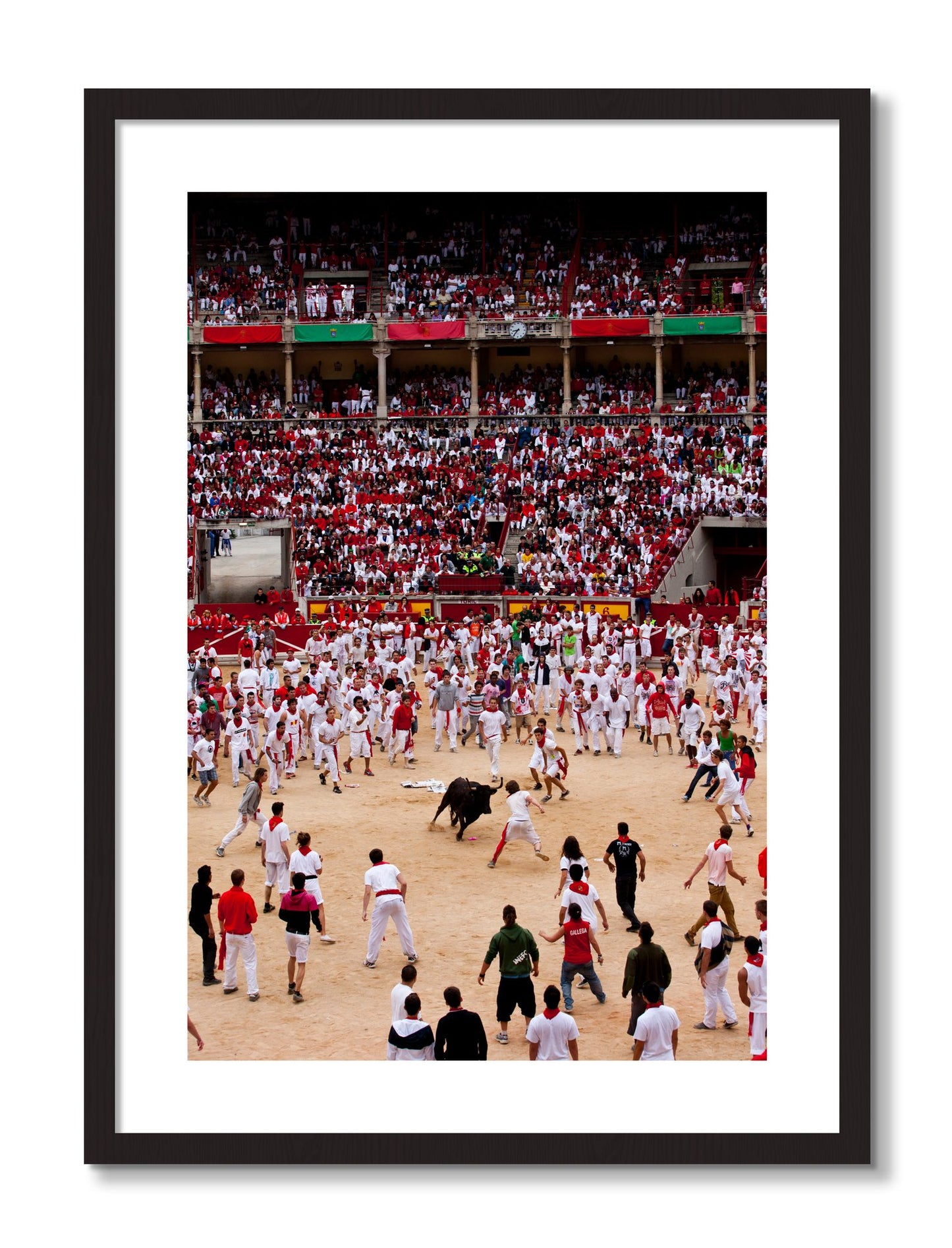 Framed photograph of Panploma by Dylan Ozanich, Black frame, Borders