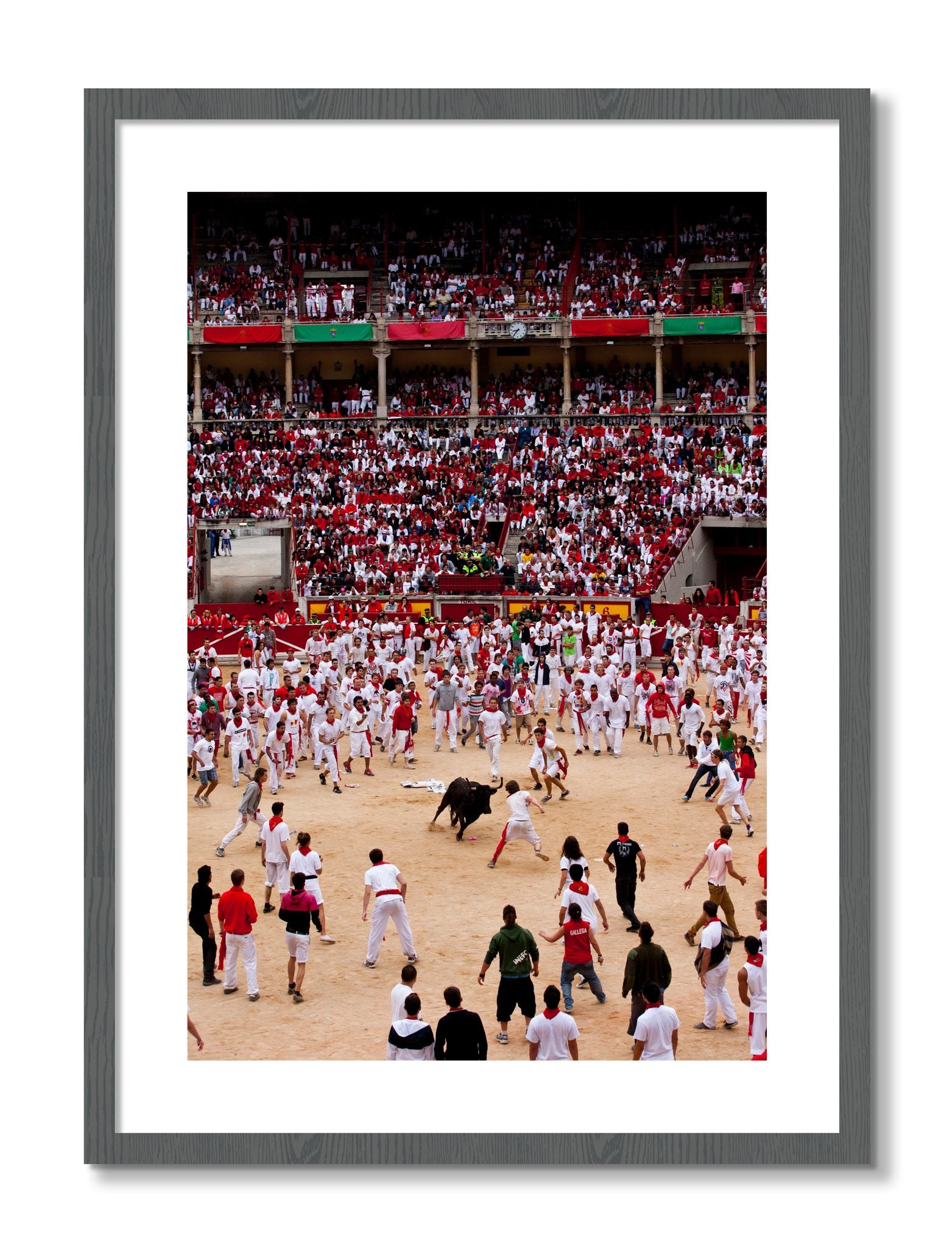 Framed photograph of Panploma by Dylan Ozanich, Grey frame, Borders