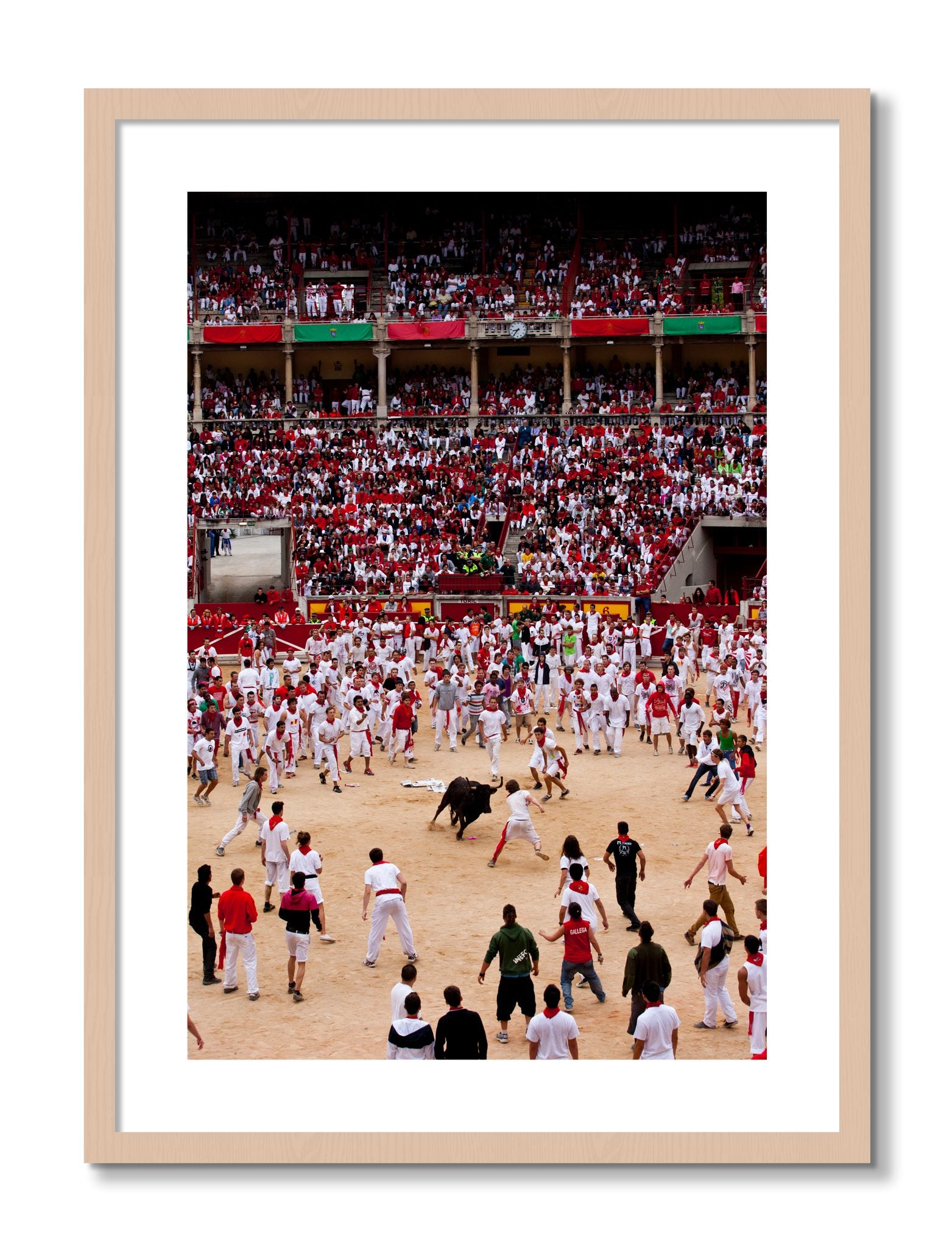 Framed photograph of Panploma by Dylan Ozanich, Maple frame, Borders