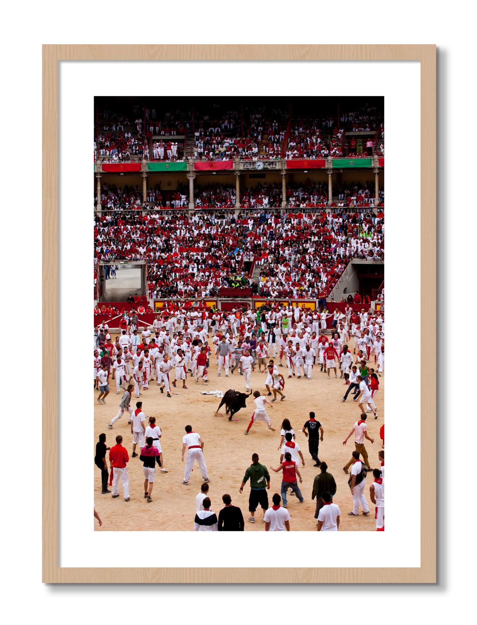 Framed photograph of Panploma by Dylan Ozanich, Oak frame, Borders