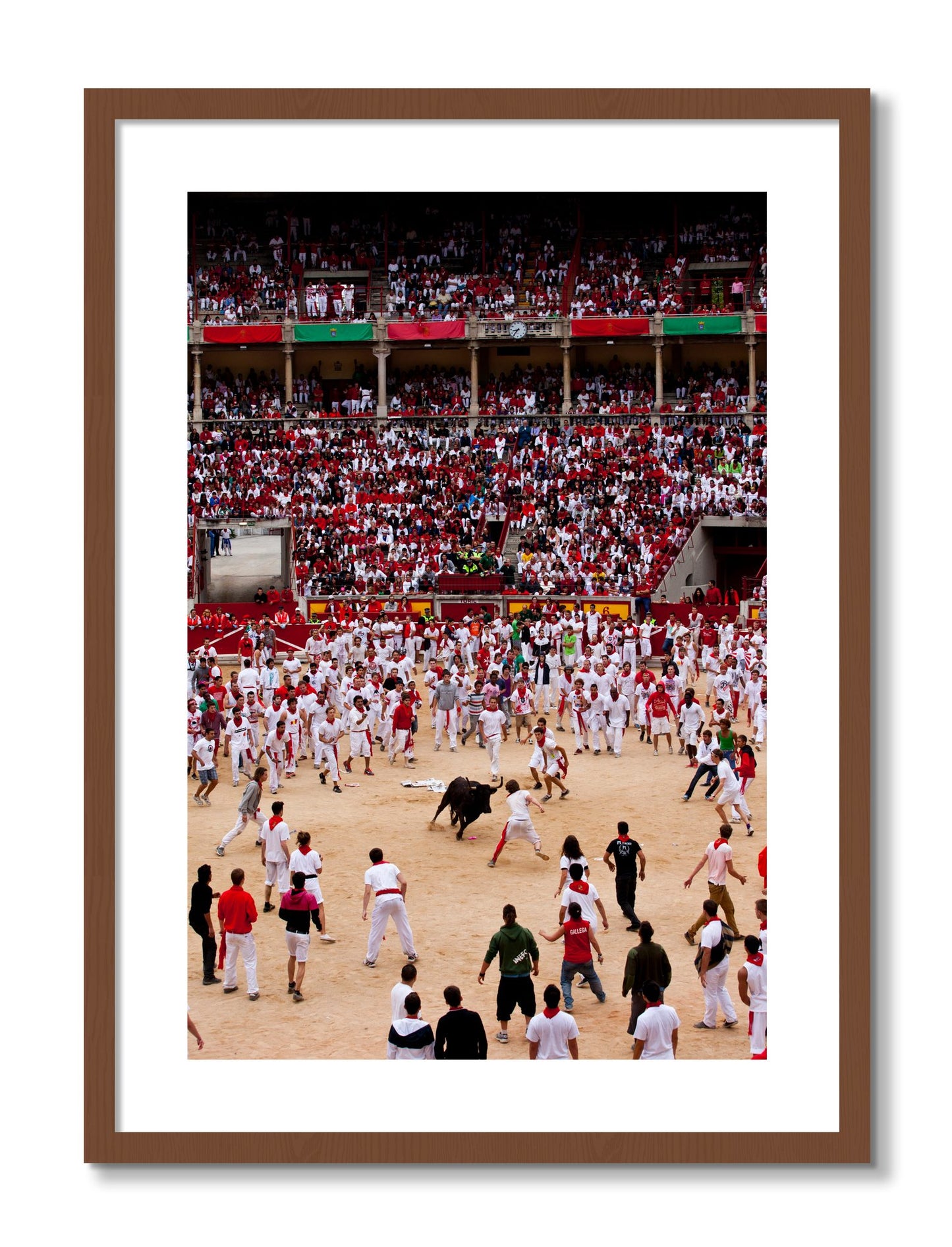 Framed photograph of Panploma by Dylan Ozanich, Walnut frame, Borders
