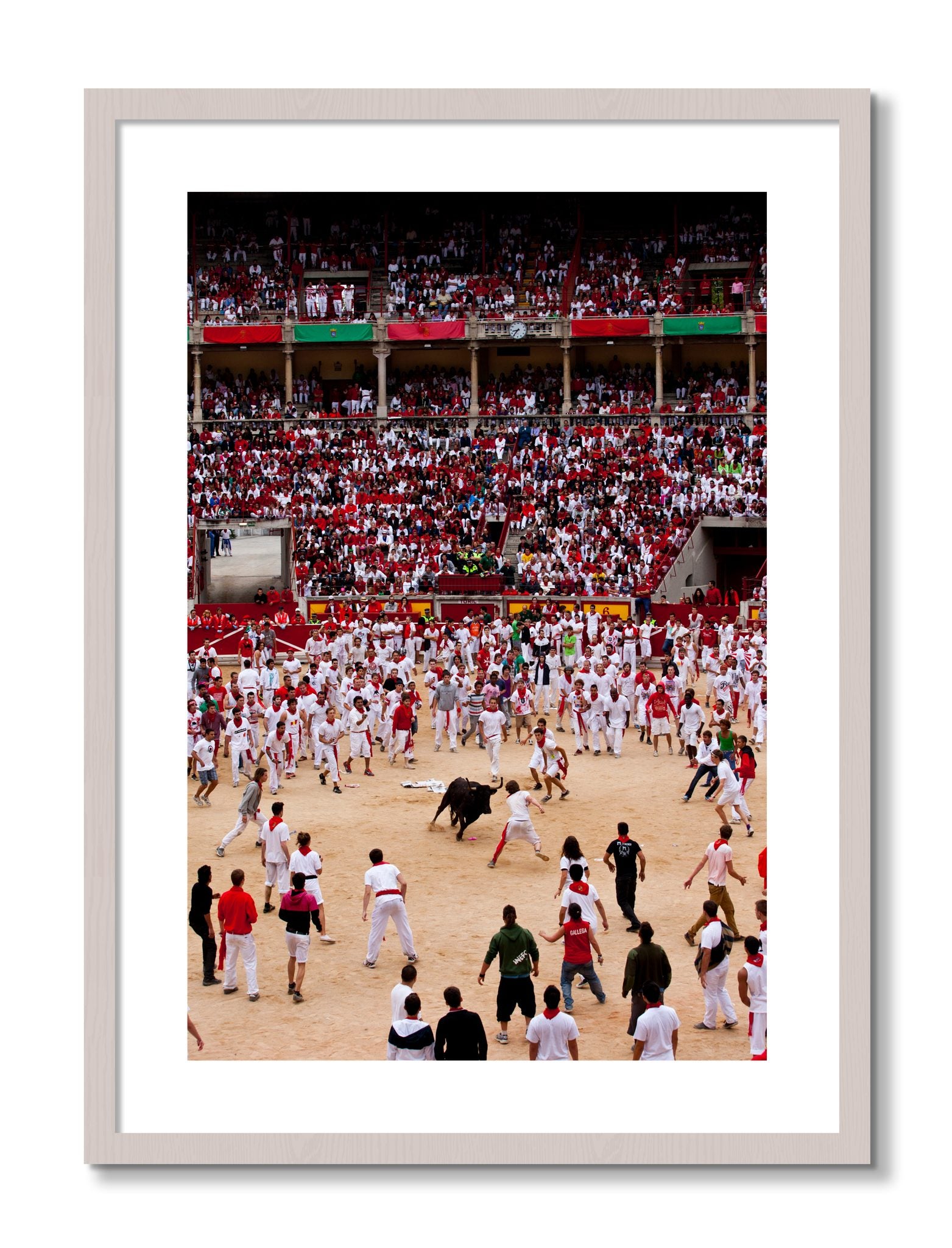 Framed photograph of Panploma by Dylan Ozanich, White Maple frame, Borders