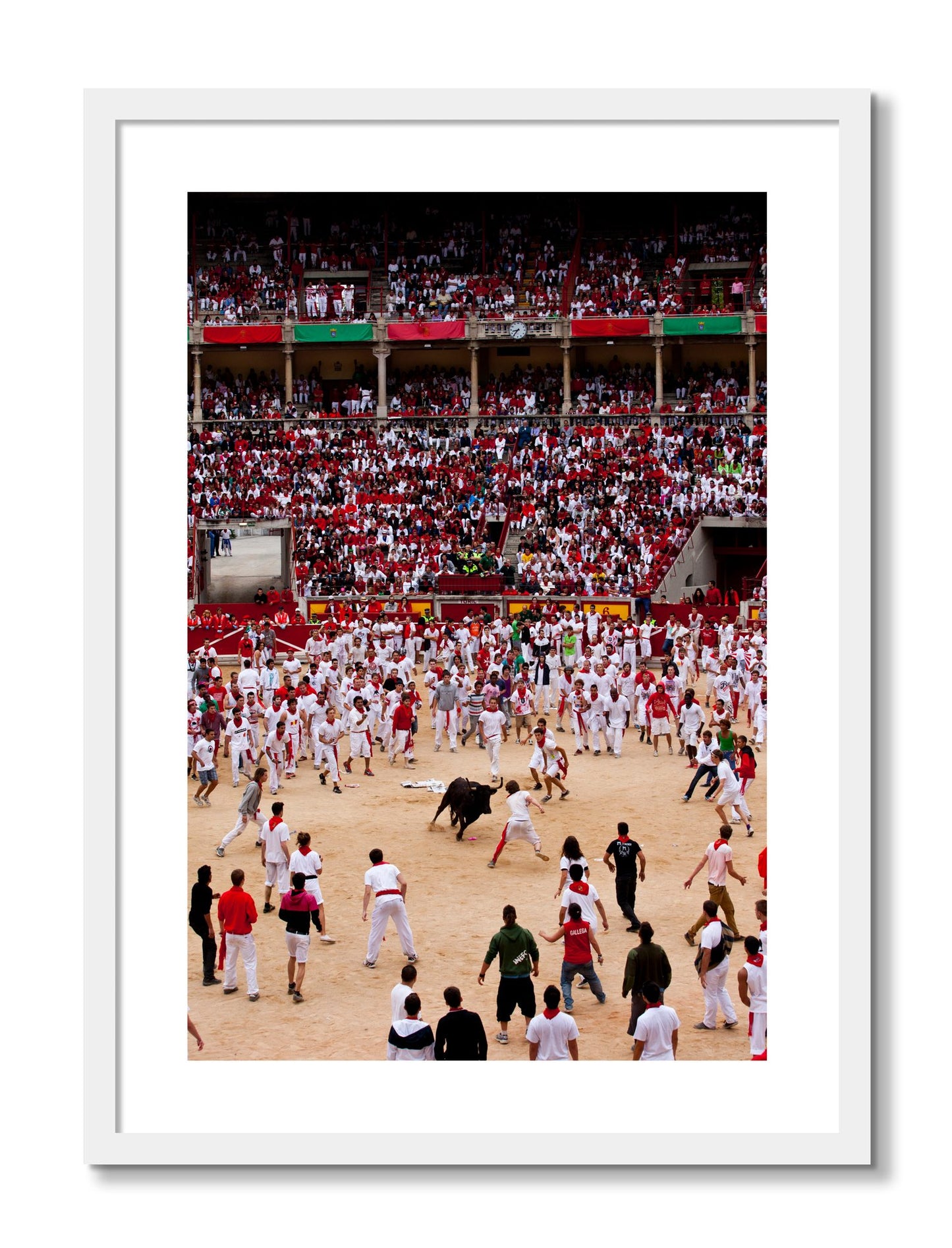 Framed photograph of Panploma by Dylan Ozanich, White frame, Borders