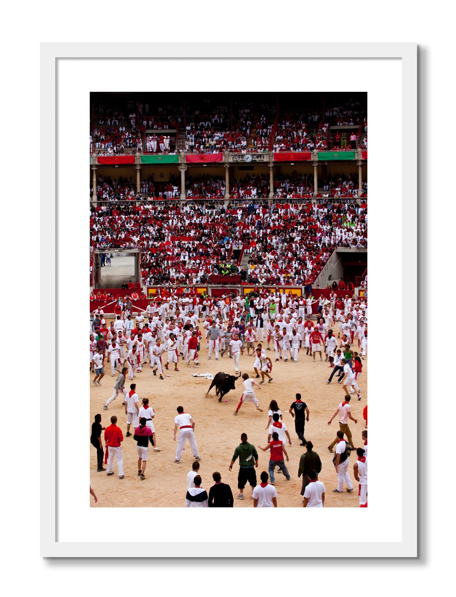 Framed photograph of Panploma by Dylan Ozanich, White frame, Borders