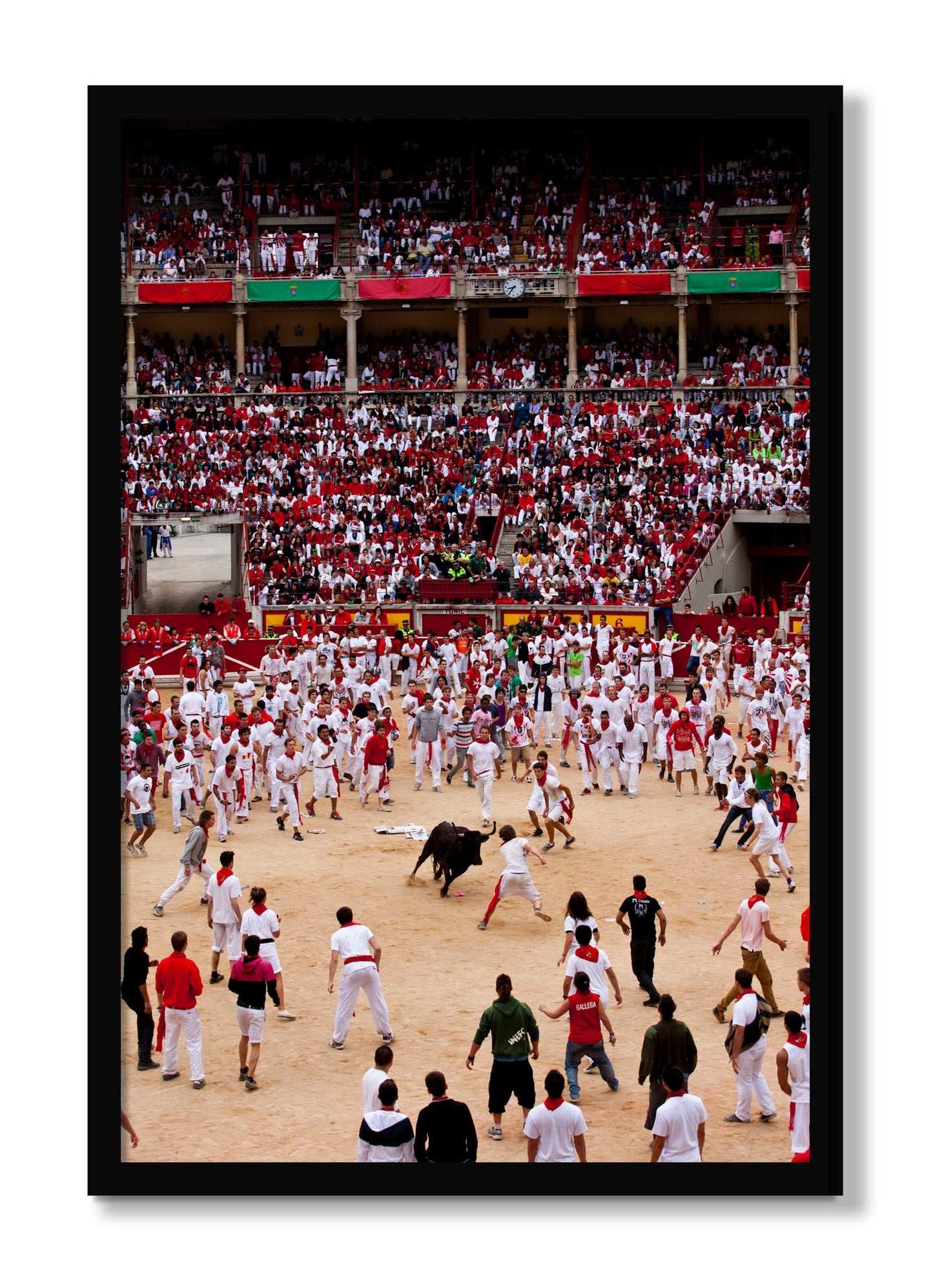 Framed photograph of Panploma by Dylan Ozanich, Black frame, Full Bleed