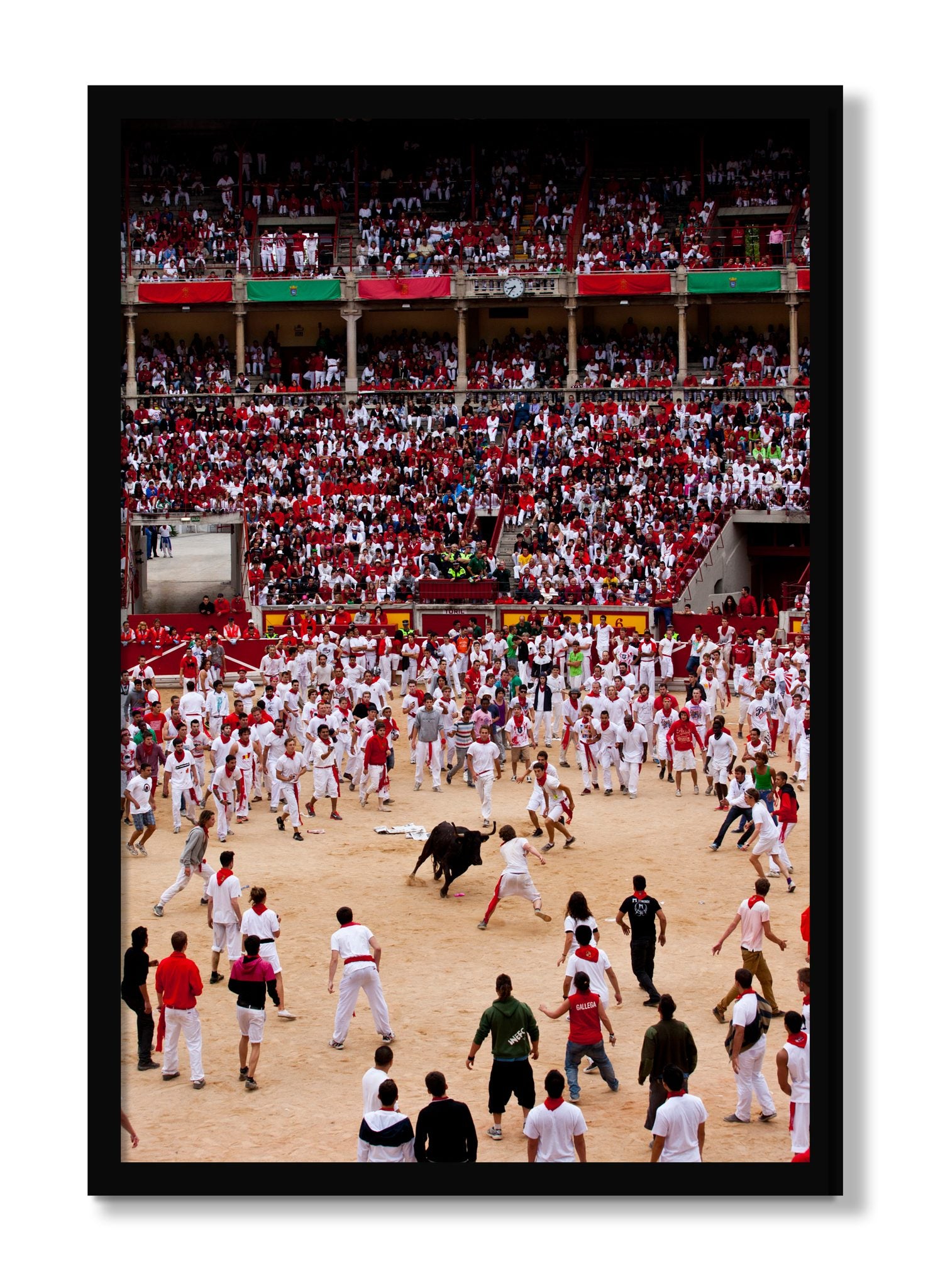 Framed photograph of Panploma by Dylan Ozanich, Black frame, Full Bleed