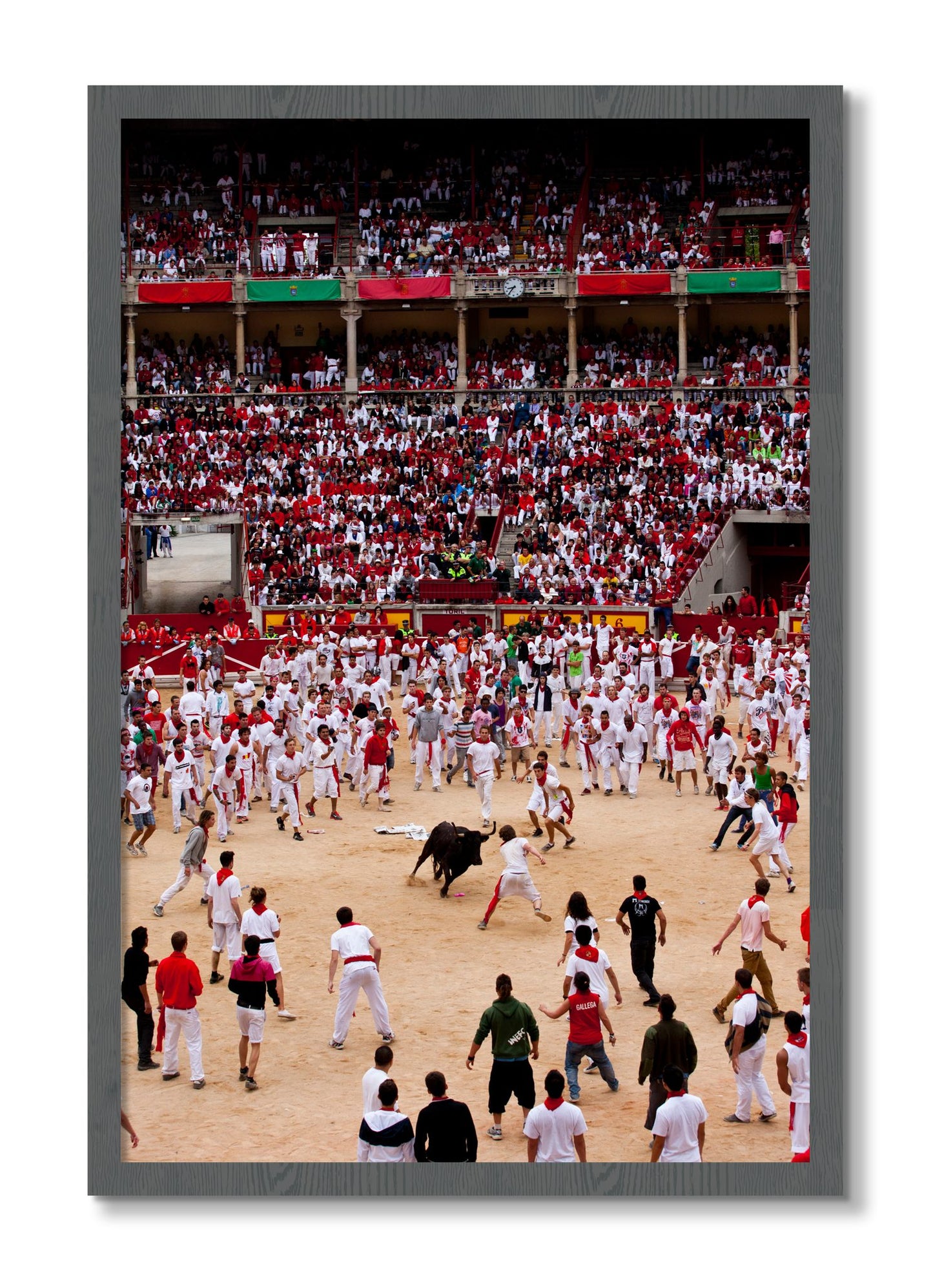 Framed photograph of Panploma by Dylan Ozanich, Grey frame, Full Bleed