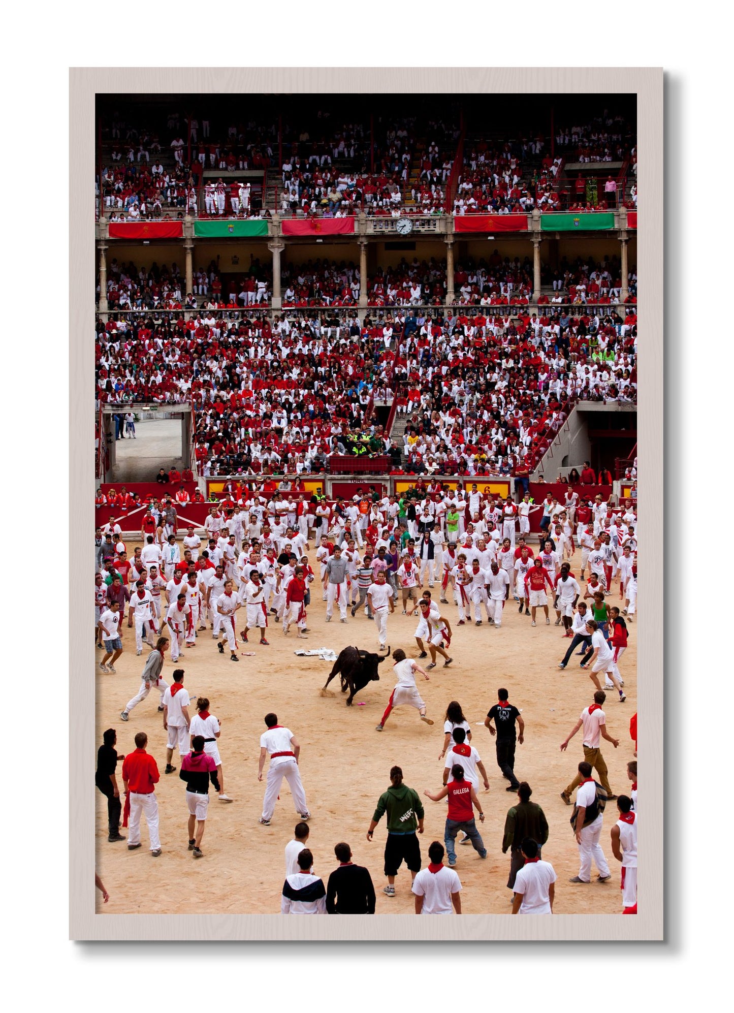 Framed photograph of Panploma by Dylan Ozanich, White Maple frame, Full Bleed