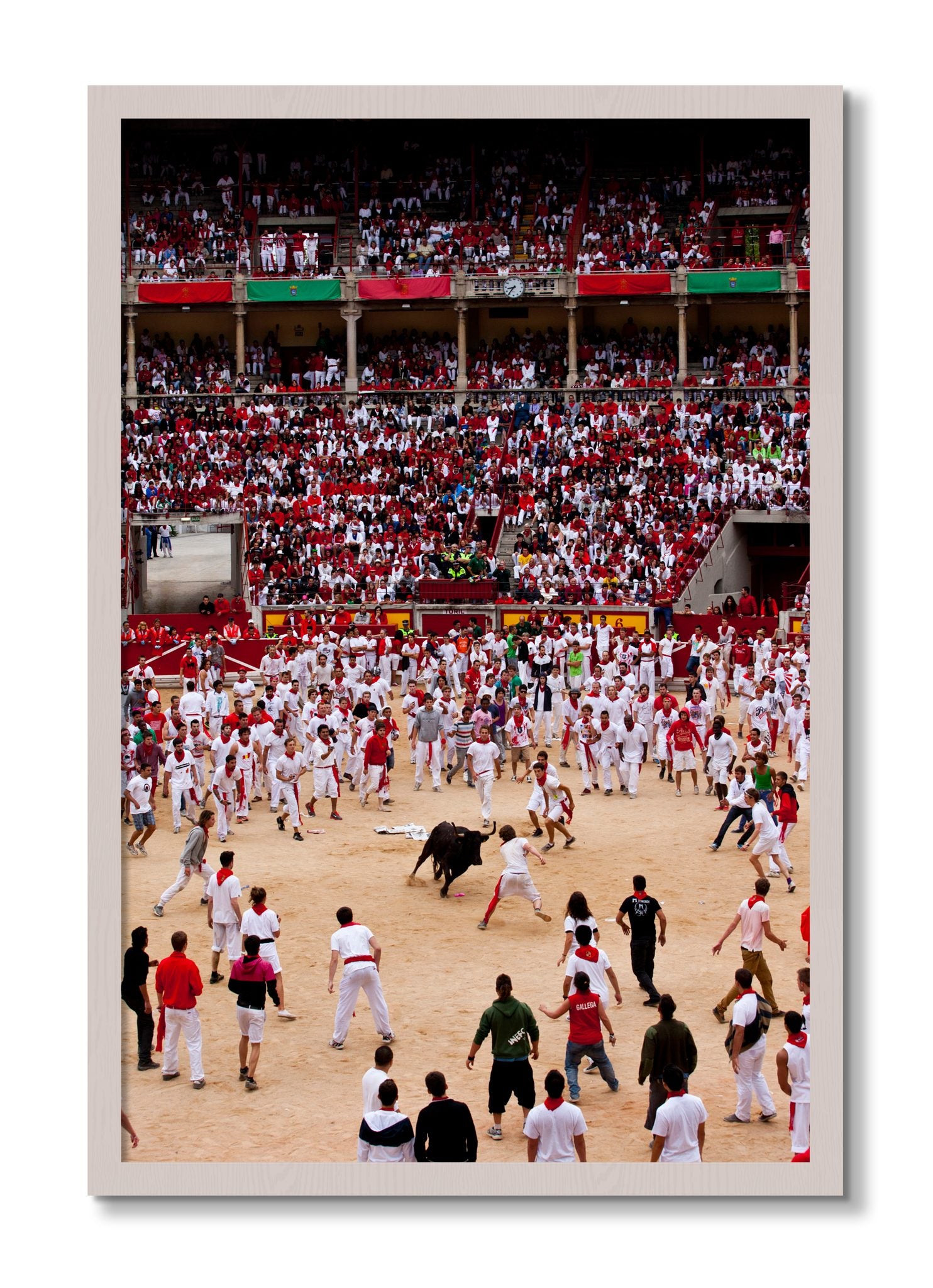 Framed photograph of Panploma by Dylan Ozanich, White Maple frame, Full Bleed