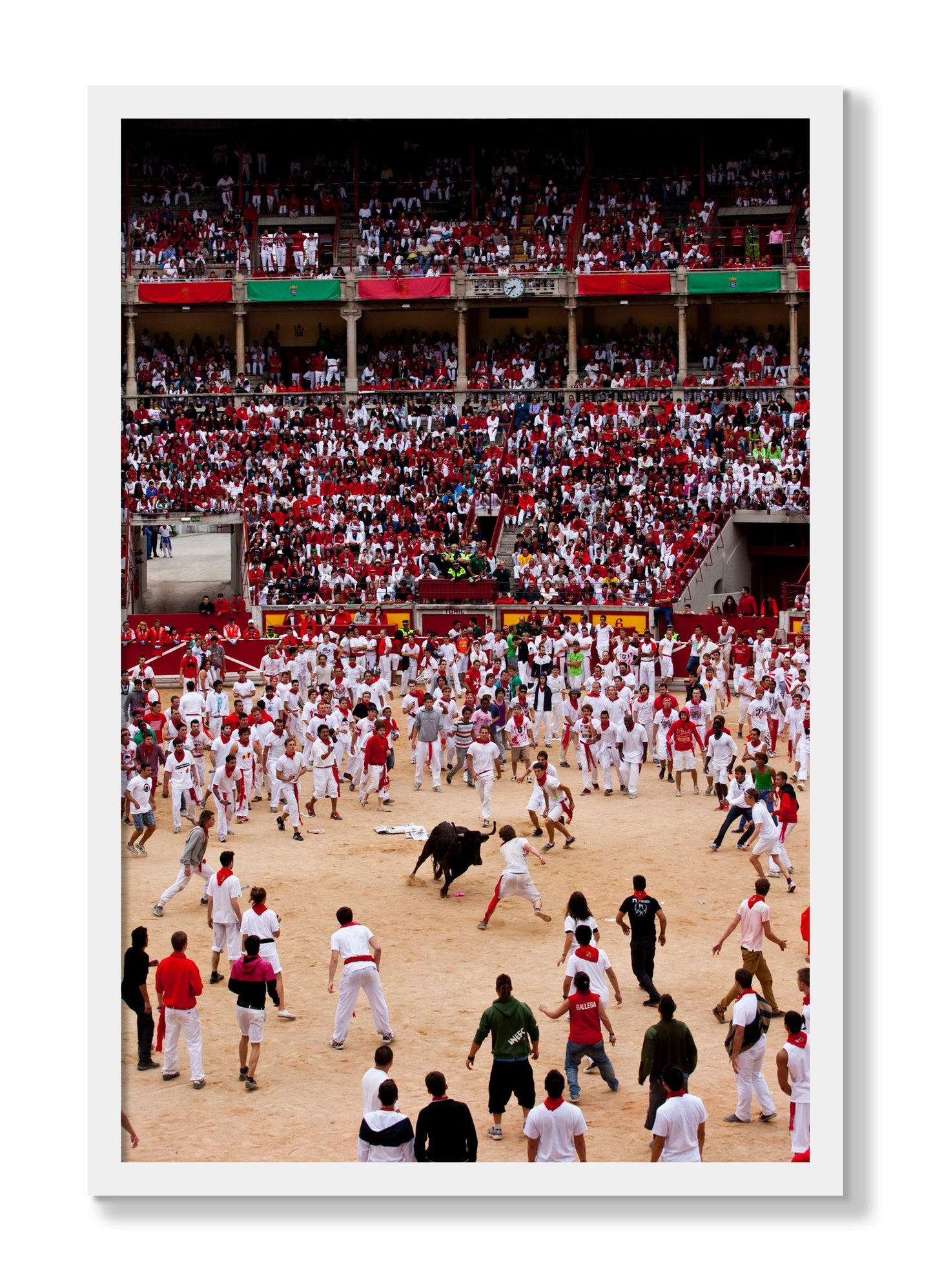 Framed photograph of Panploma by Dylan Ozanich, White frame, Full Bleed