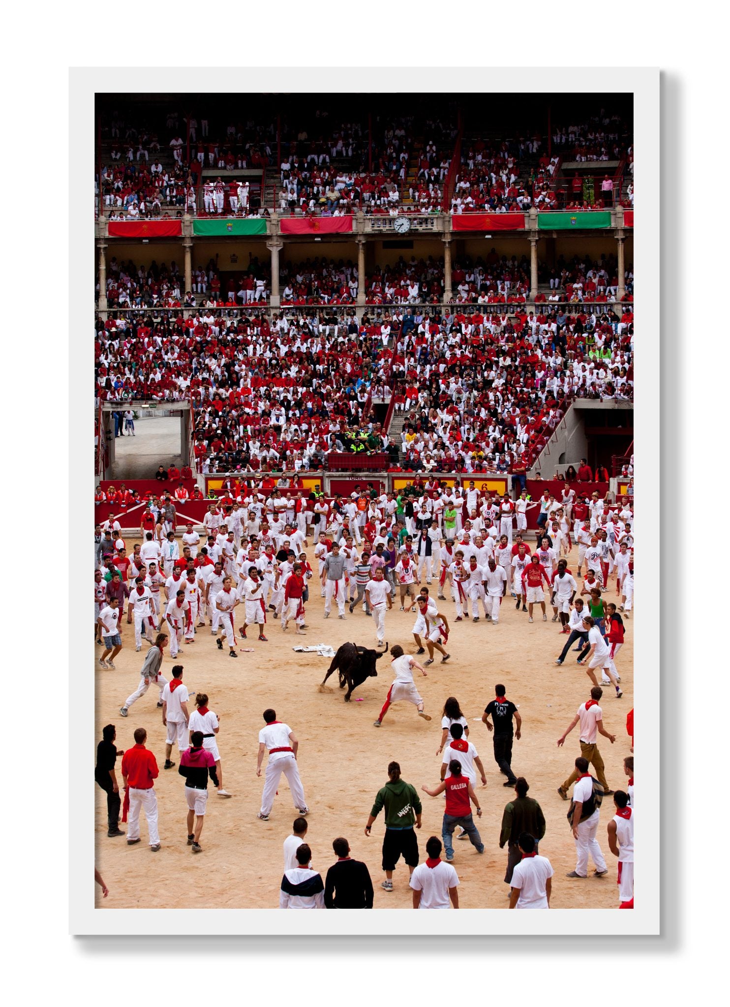 Framed photograph of Panploma by Dylan Ozanich, White frame, Full Bleed