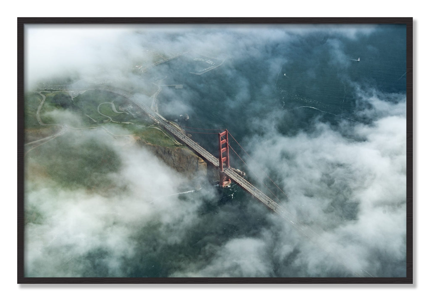 Framed photograph of Peaking Through by Dylan Ozanich, Black Walnut frame, Full Bleed
