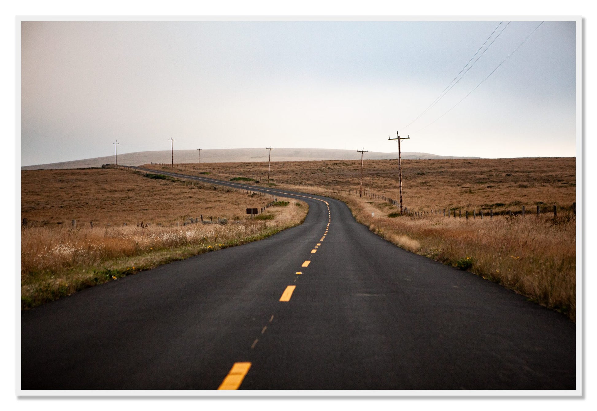 Point Reyes by Dylan Ozanich, 48×72 Full Bleed Print in a White frame