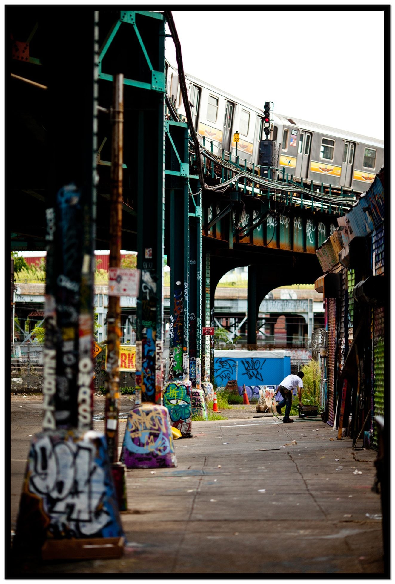 Queens by Dylan Ozanich, 48×72 Full Bleed Print in a Black frame
